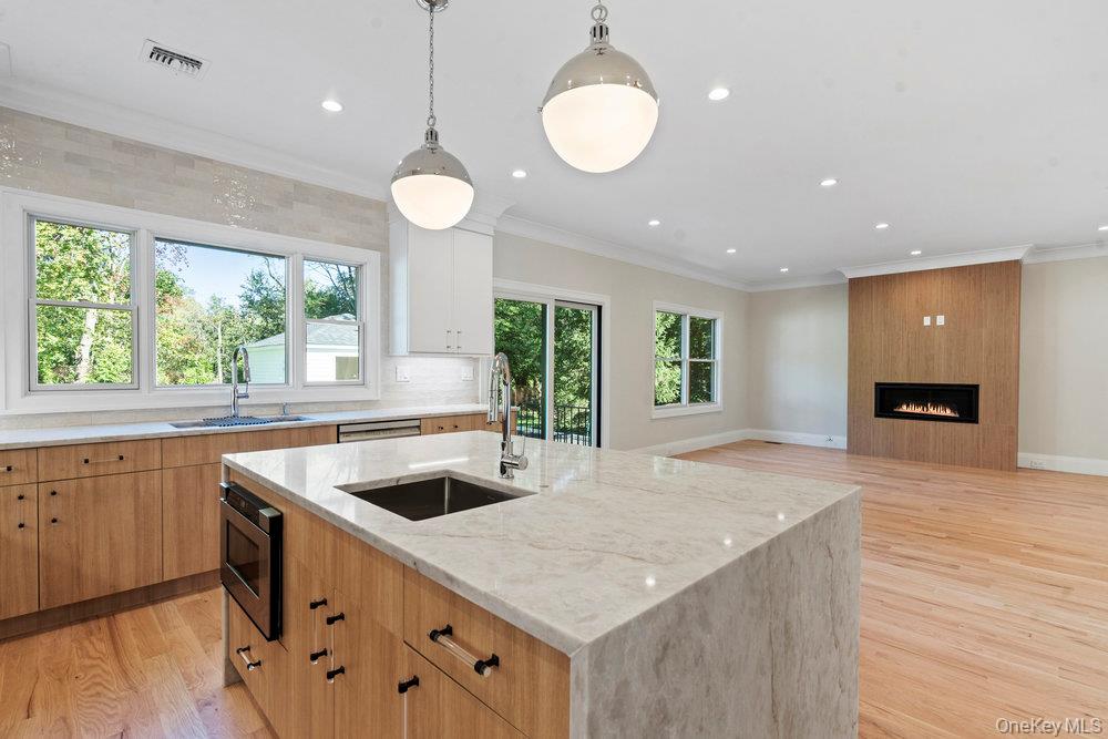 51 Netz Place, Albertson, NY 11507