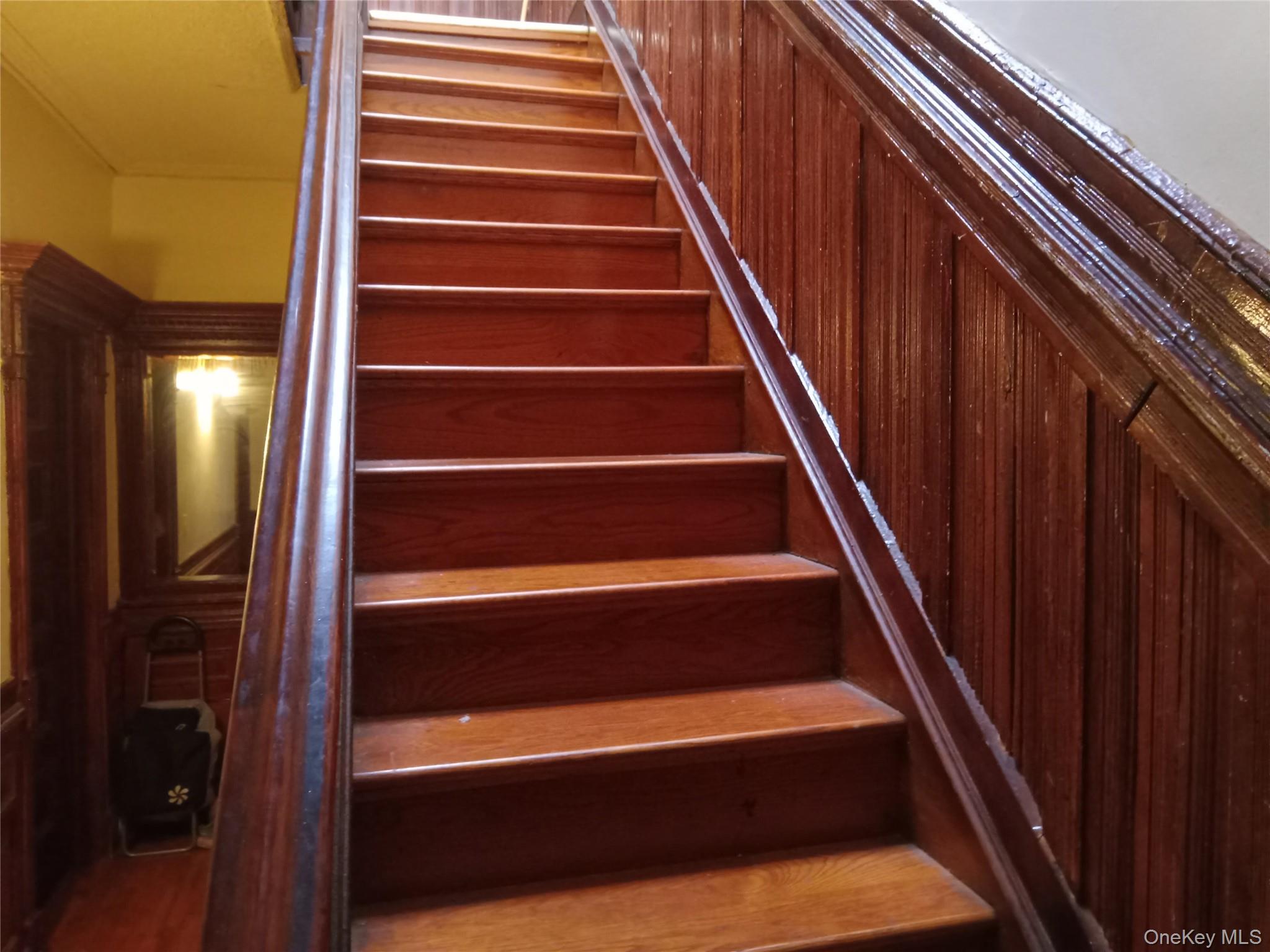 263 Hancock, Brooklyn, NY 11216