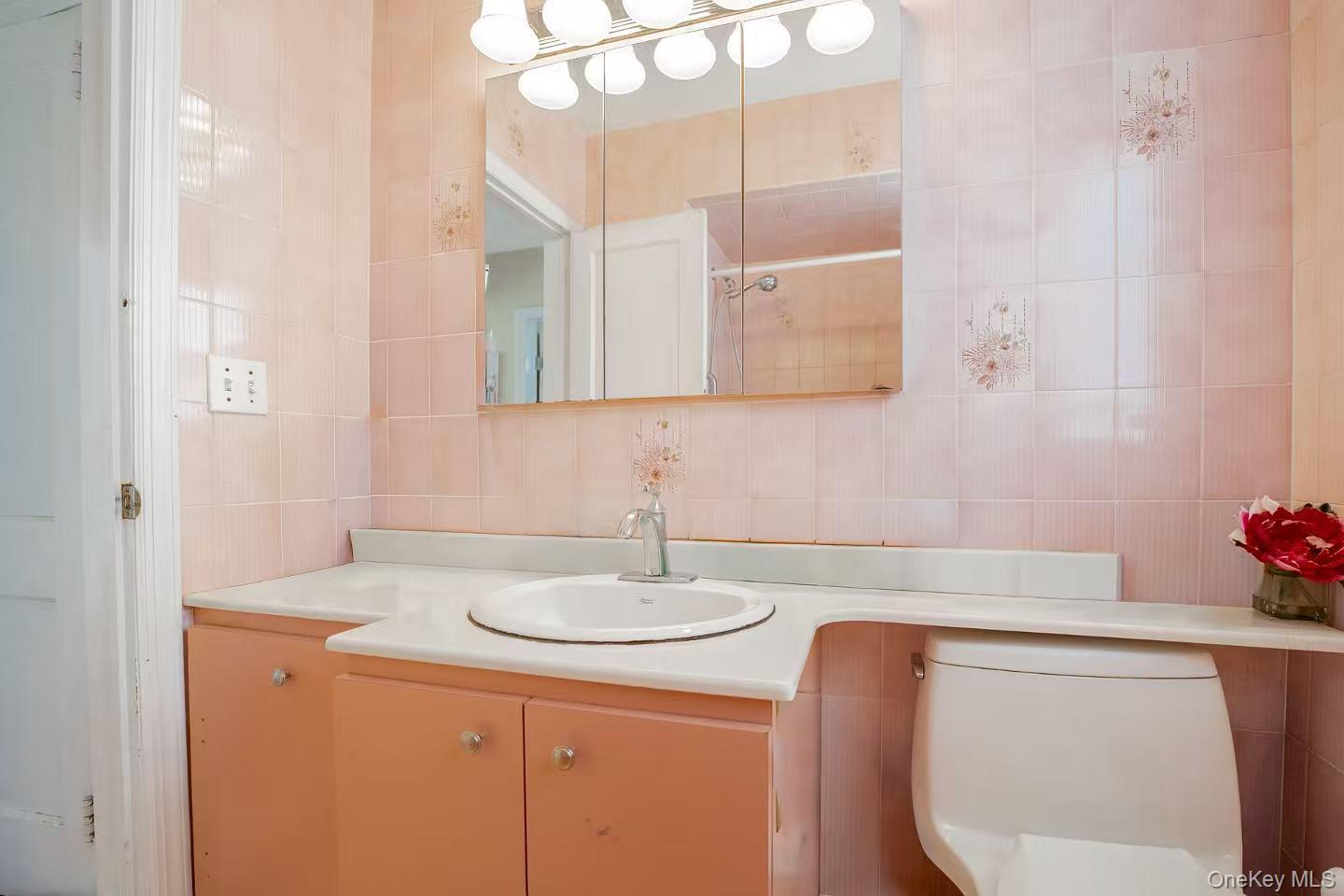 636 S 13th Street, New Hyde Park, NY 11040