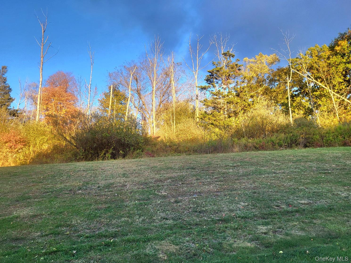 1404 Hawthorn Way, New Windsor, NY 12553