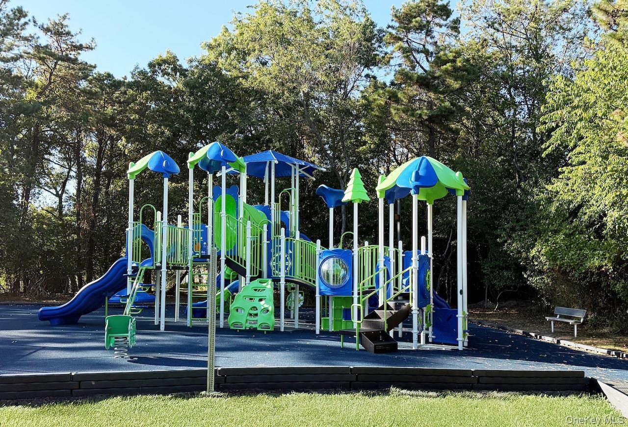 234 Ivy Meadow Court, Middle Island, NY 11953