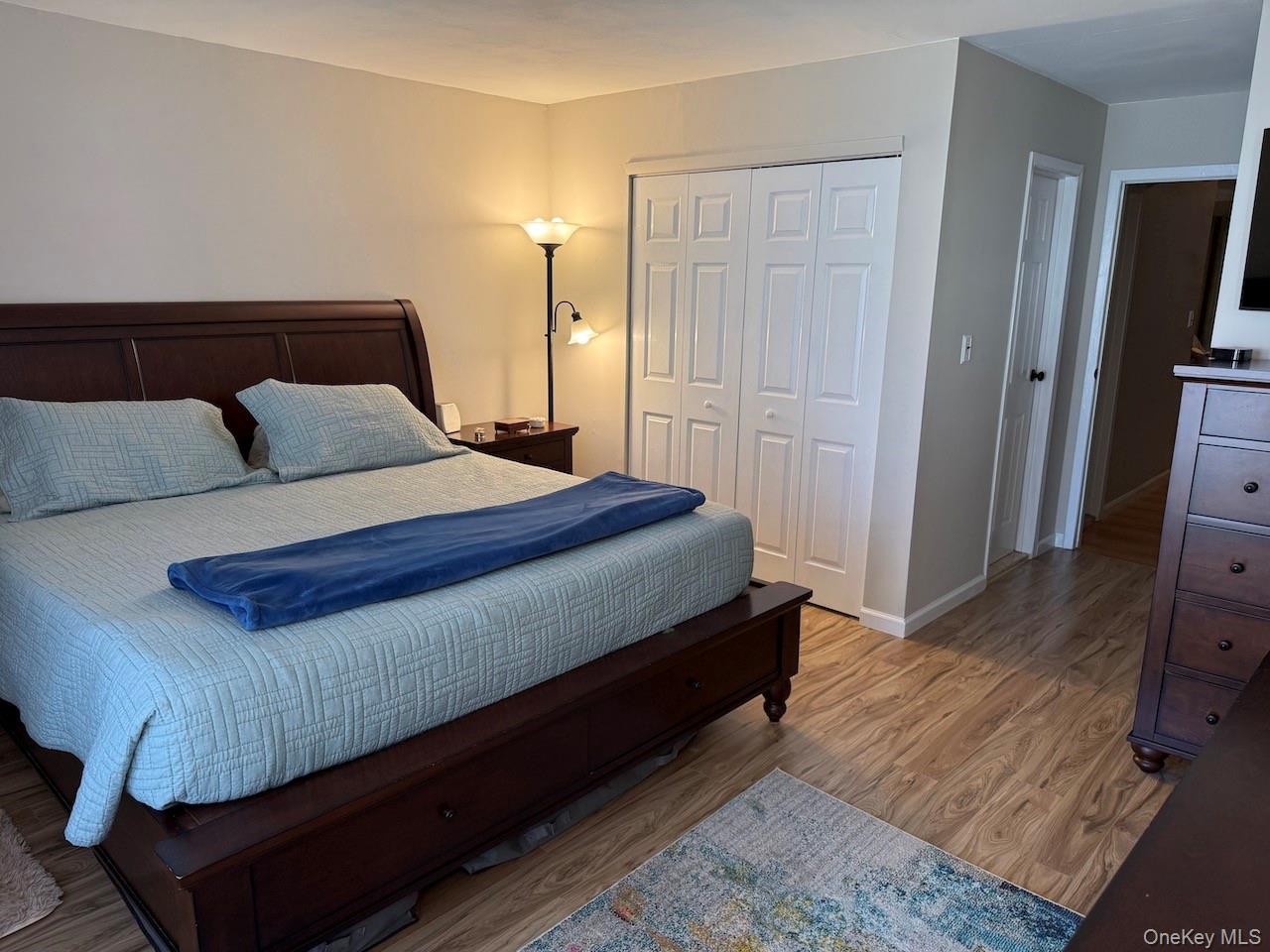 234 Ivy Meadow Court, Middle Island, NY 11953