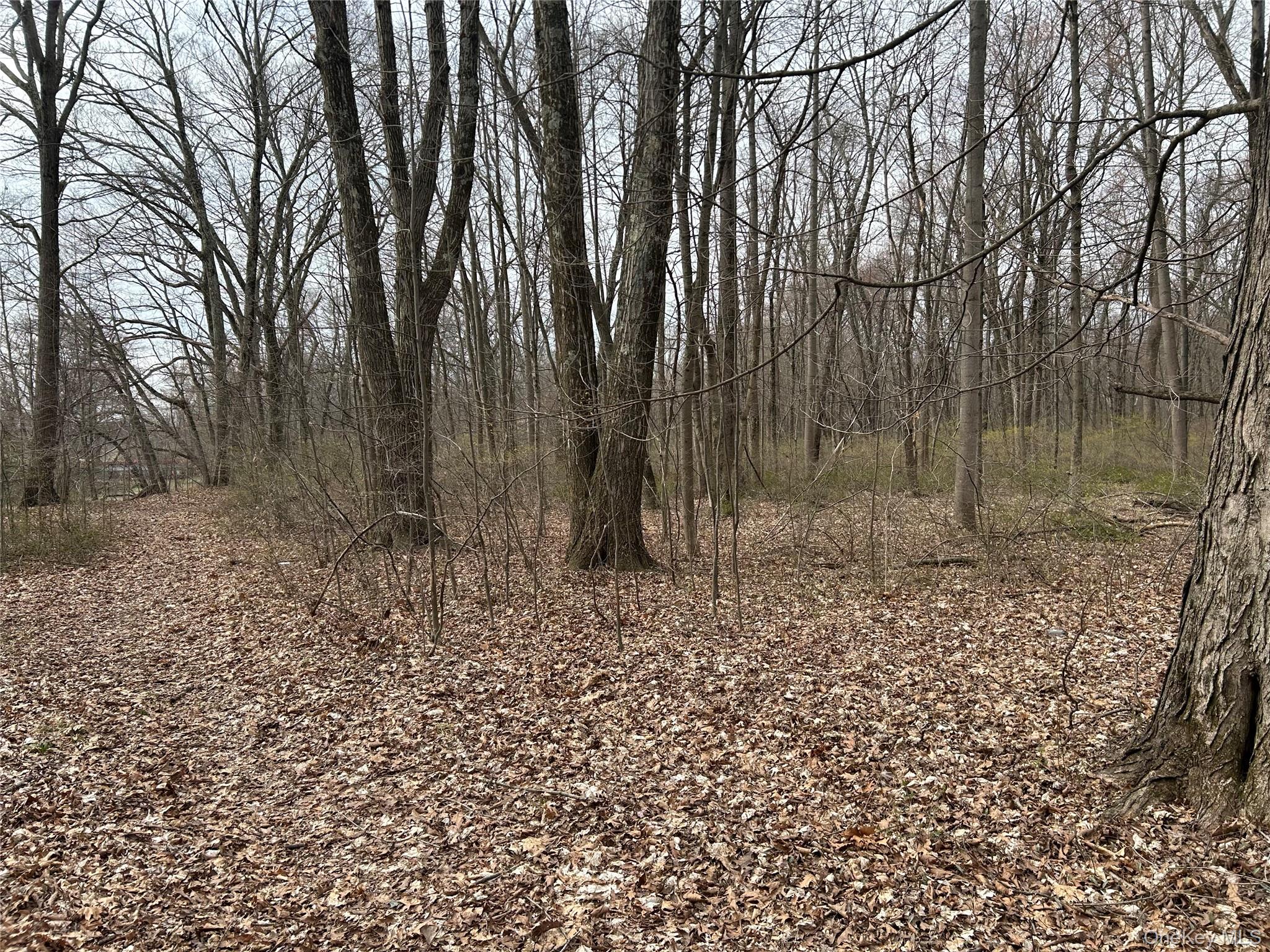 67 Jackson Road, Poughkeepsie, NY 12603