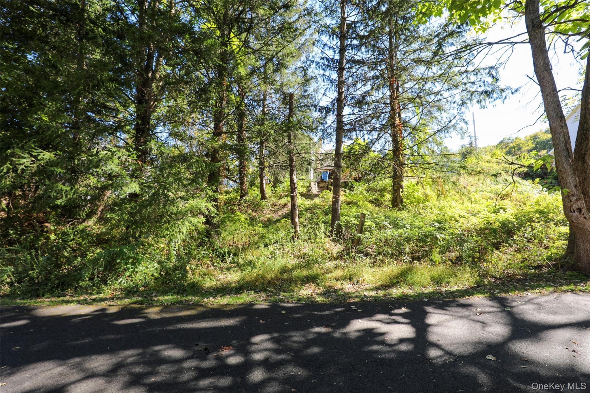 103 Gross Street, Kingston, NY 12401