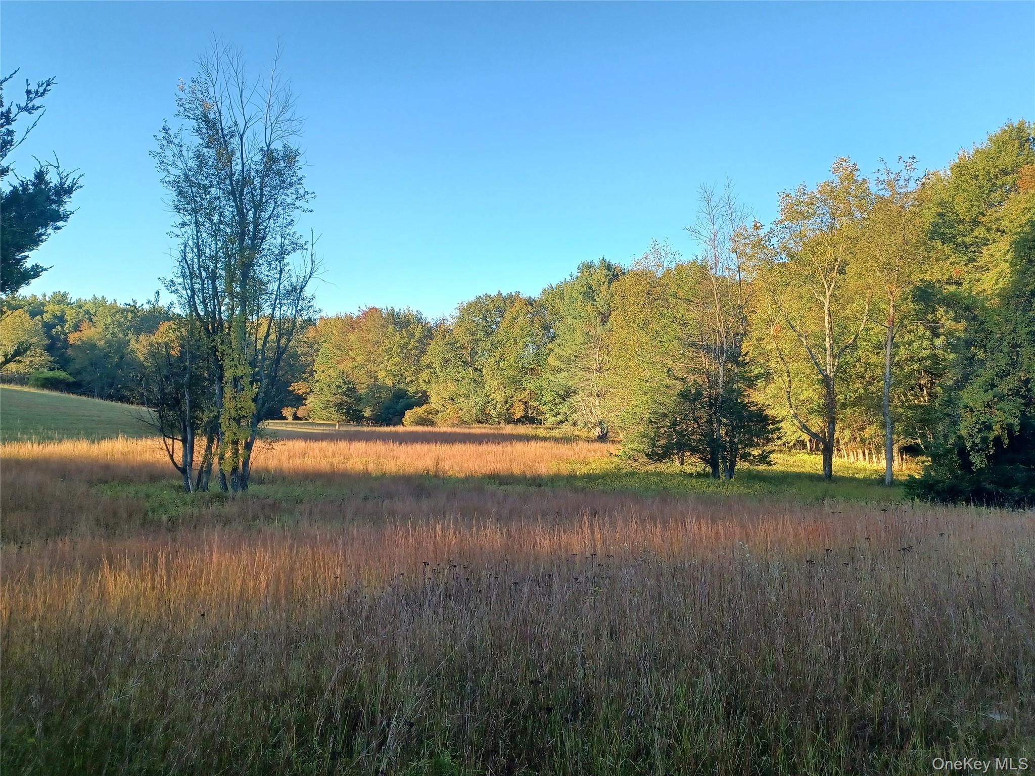 TBD Whitlock Road, Otisville, NY 10963