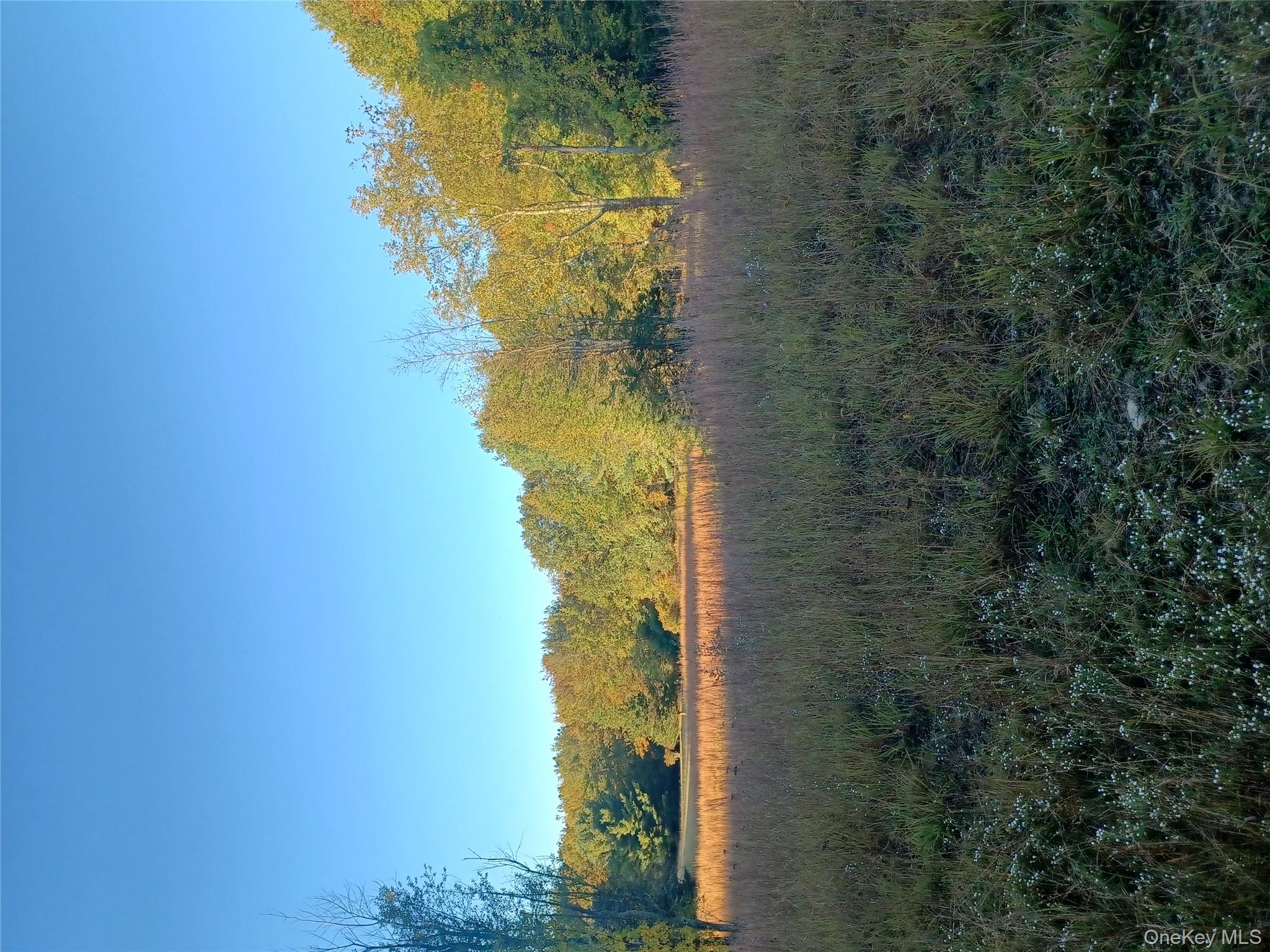 TBD Whitlock Road, Otisville, NY 10963