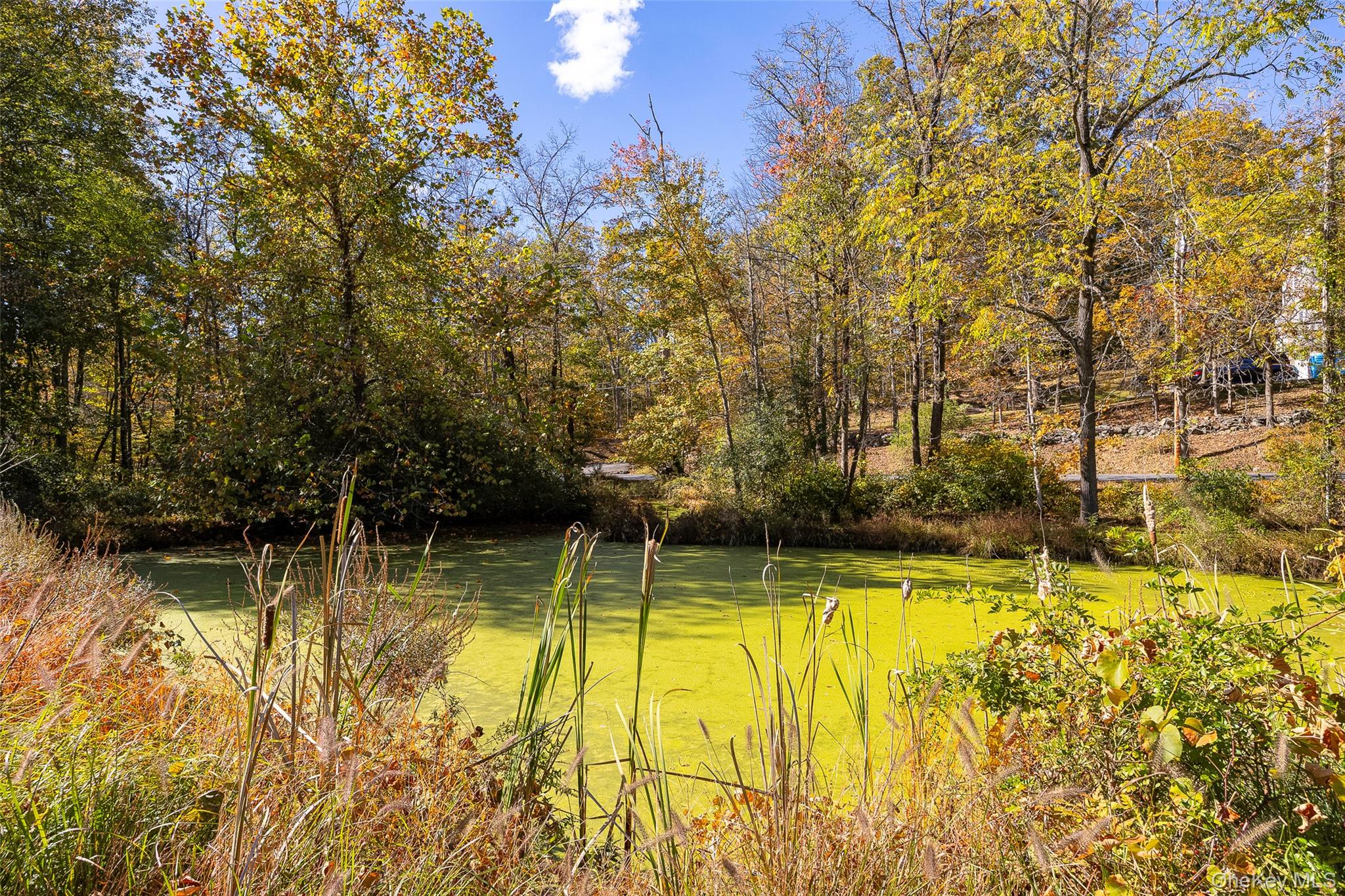 568 Swartekill Road, New Paltz, NY 12561