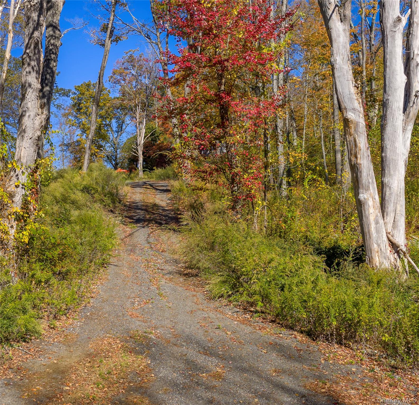 12 Deverly Road, Holmes, NY 12531