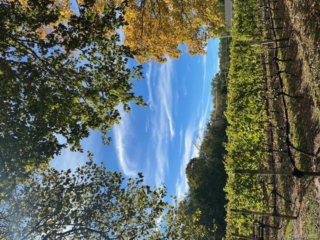 535 Bay Home Road, Southold, NY 11971