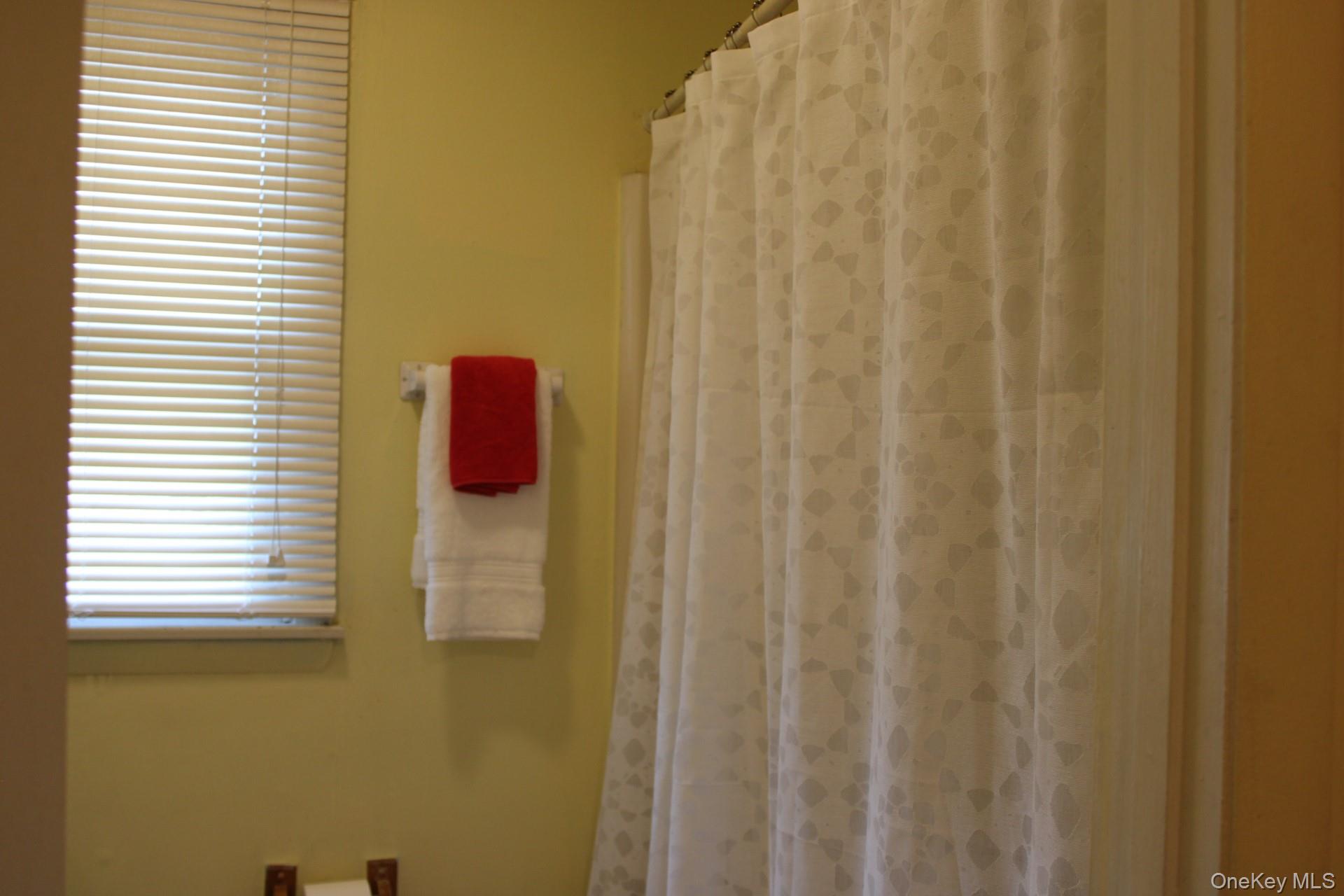 12 S Parsonage Street, Rhinebeck, NY 12572