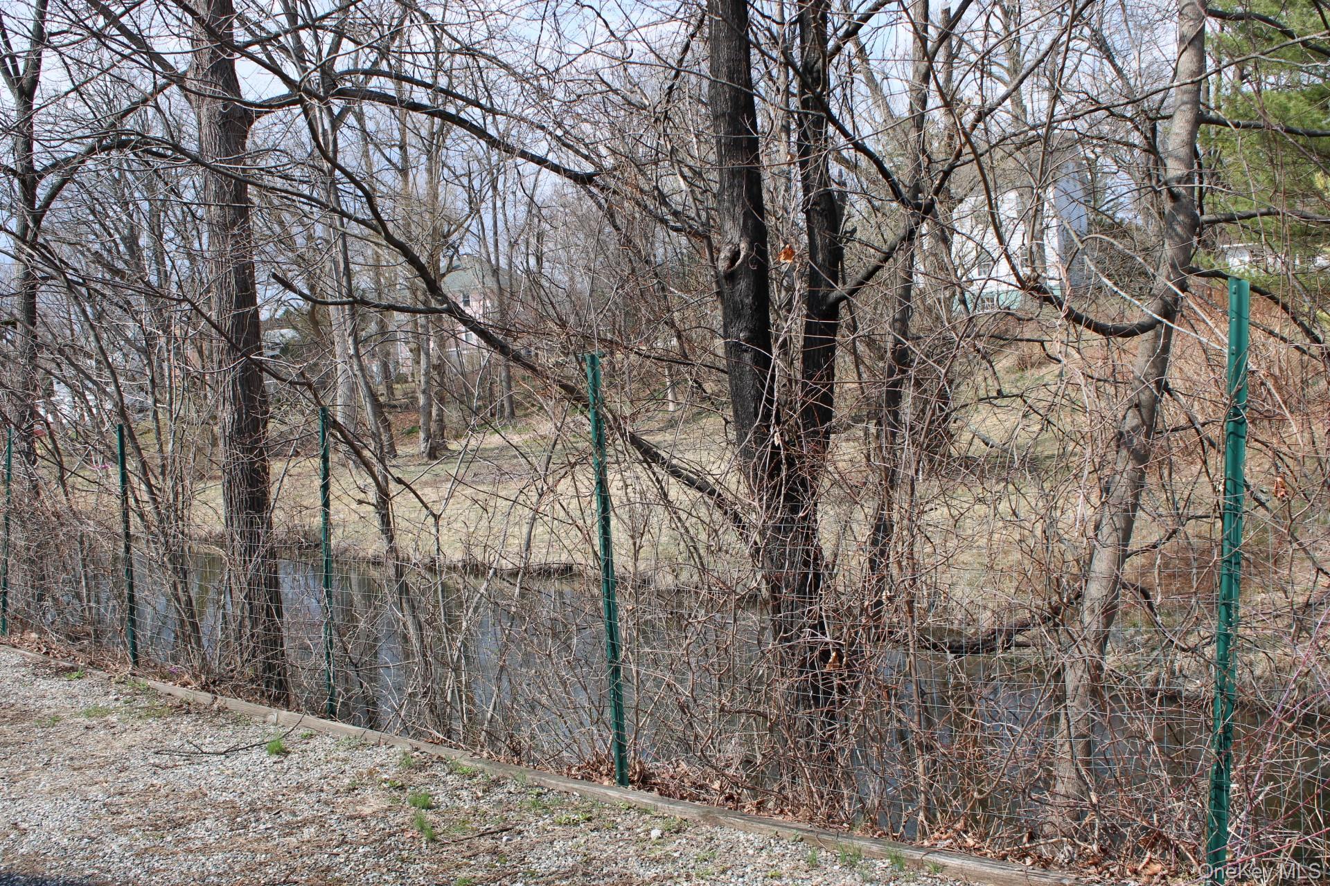 12 S Parsonage Street, Rhinebeck, NY 12572