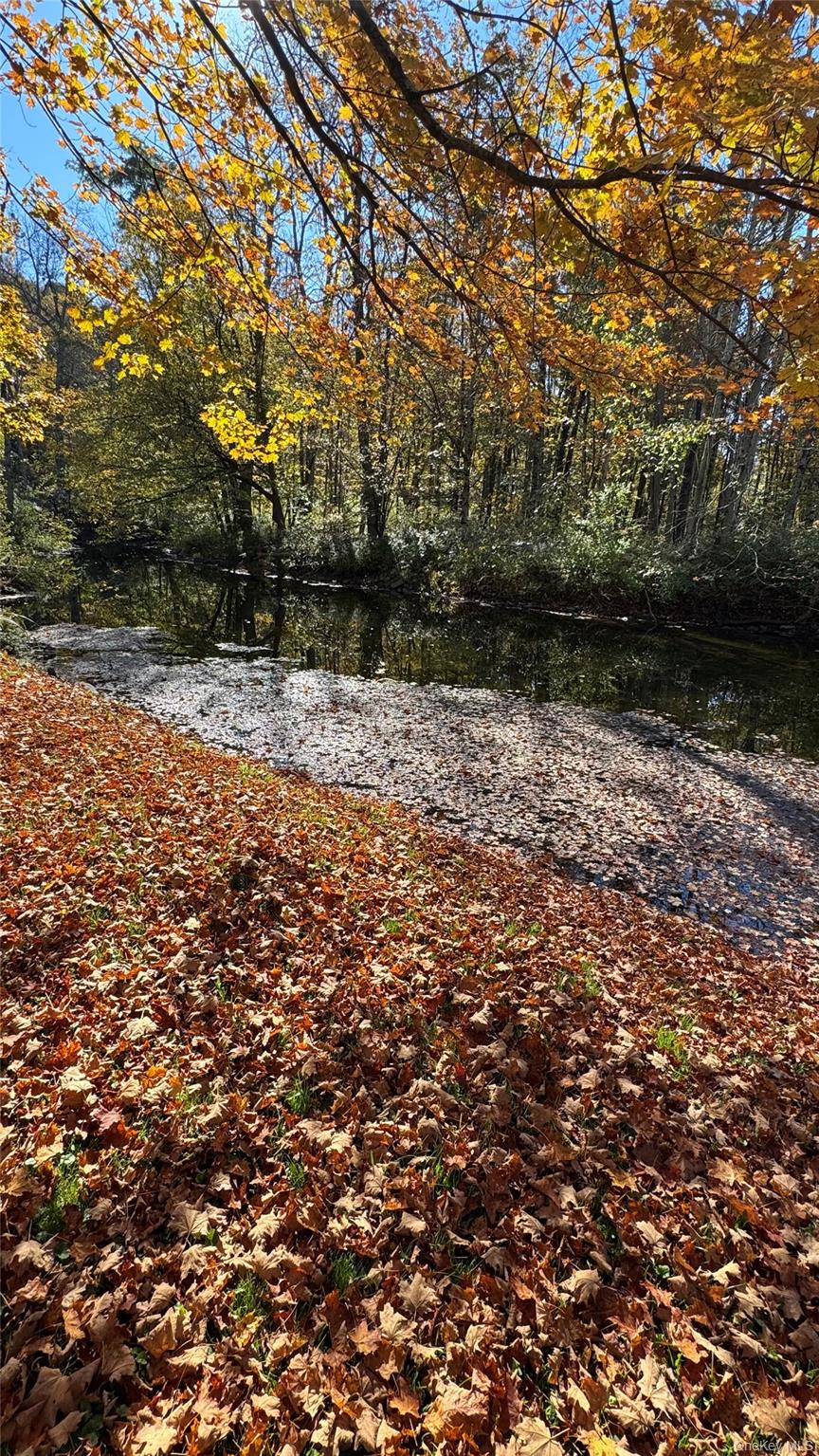 18 Blue Heron Lane # 18,20,21,26, Staatsburg, NY 12580