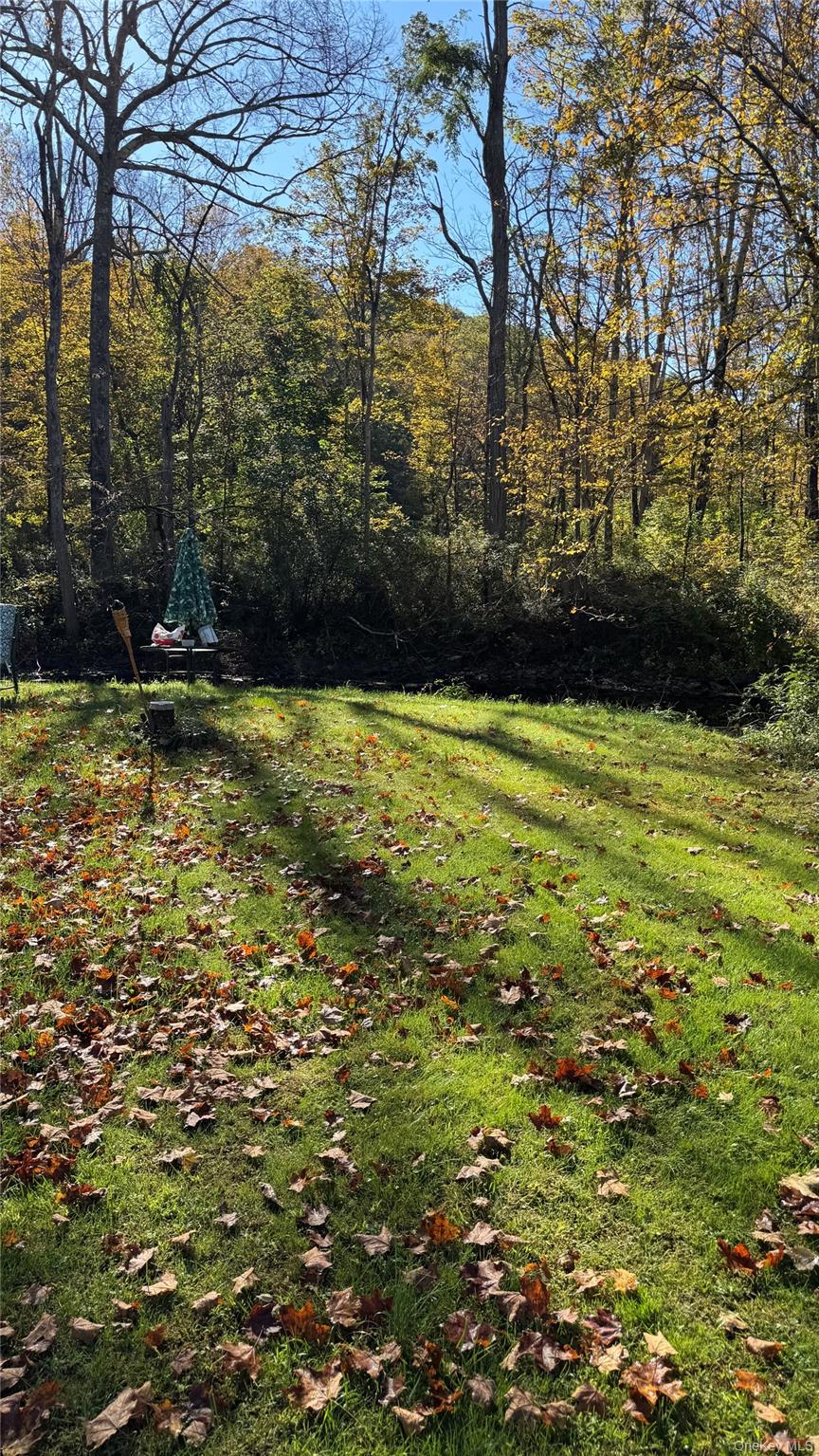 18 Blue Heron Lane # 18,20,21,26, Staatsburg, NY 12580