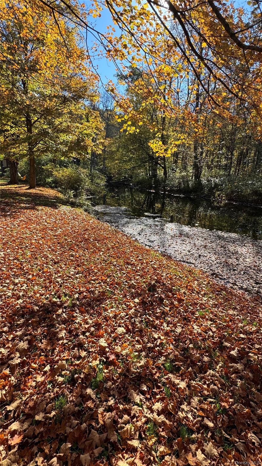 18 Blue Heron Lane # 18,20,21,26, Staatsburg, NY 12580