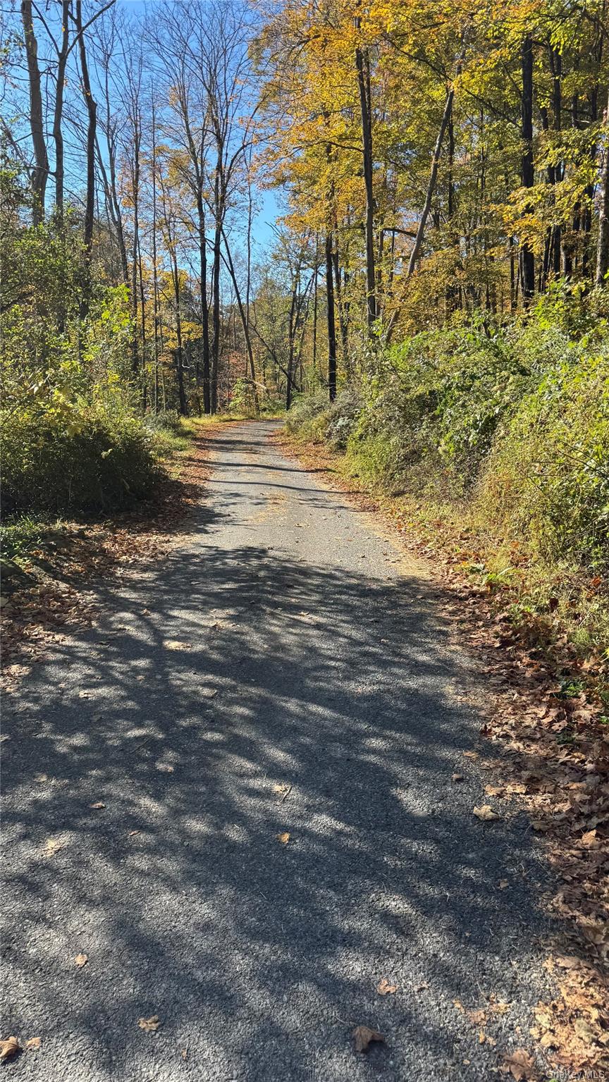 18 Blue Heron Lane # 18,20,21,26, Staatsburg, NY 12580