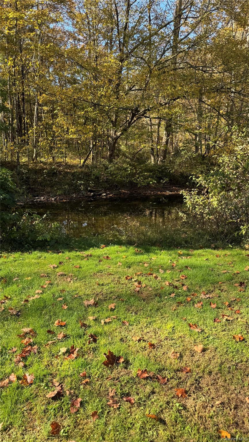 18 Blue Heron Lane # 18,20,21,26, Staatsburg, NY 12580