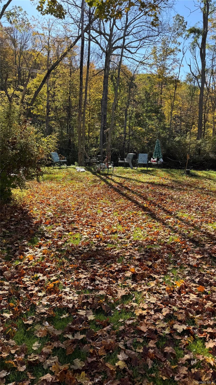 18 Blue Heron Lane # 18,20,21,26, Staatsburg, NY 12580