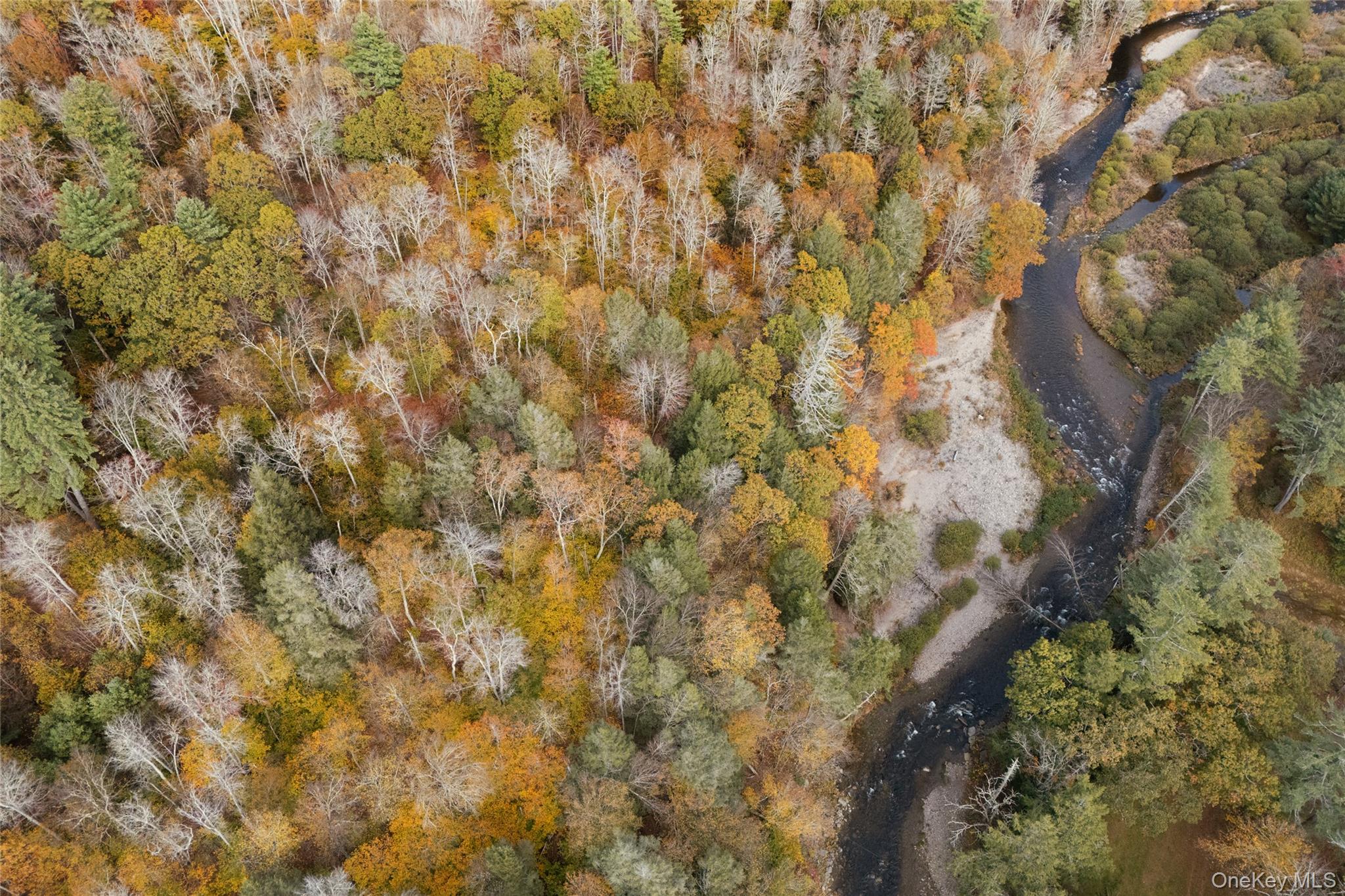 38 Frost Valley Road, Claryville, NY 12725