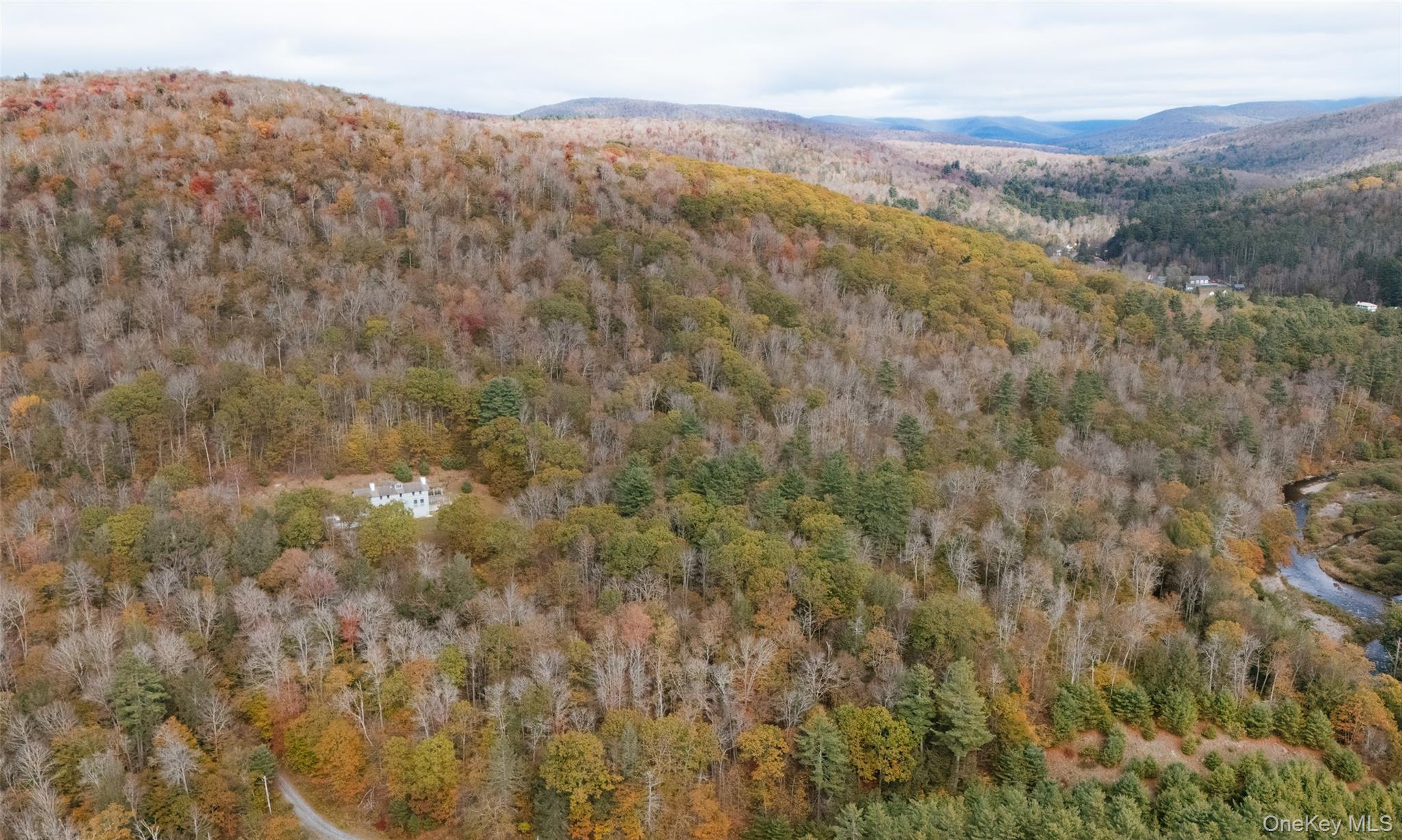 38 Frost Valley Road, Claryville, NY 12725