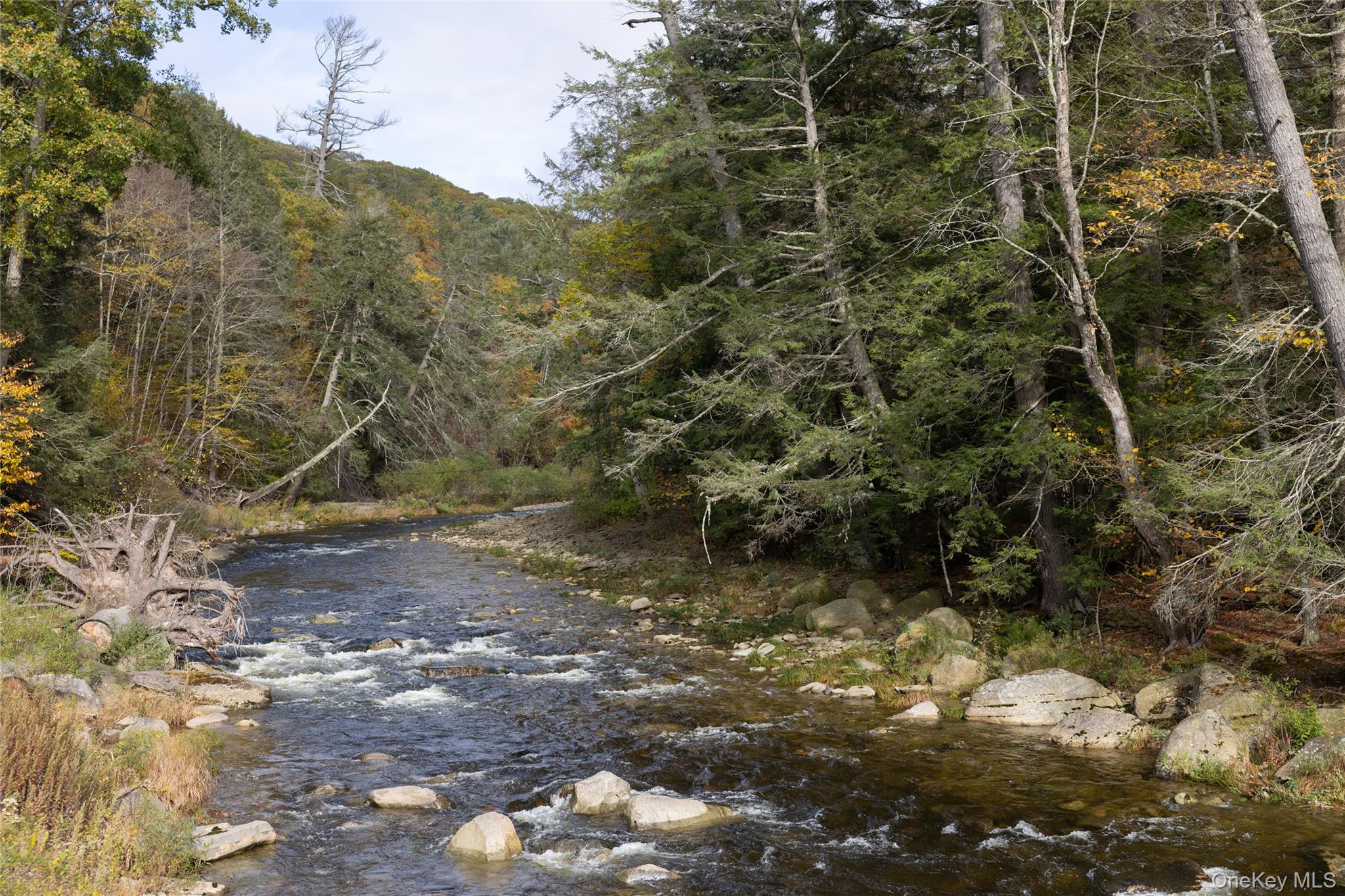 38 Frost Valley Road, Claryville, NY 12725