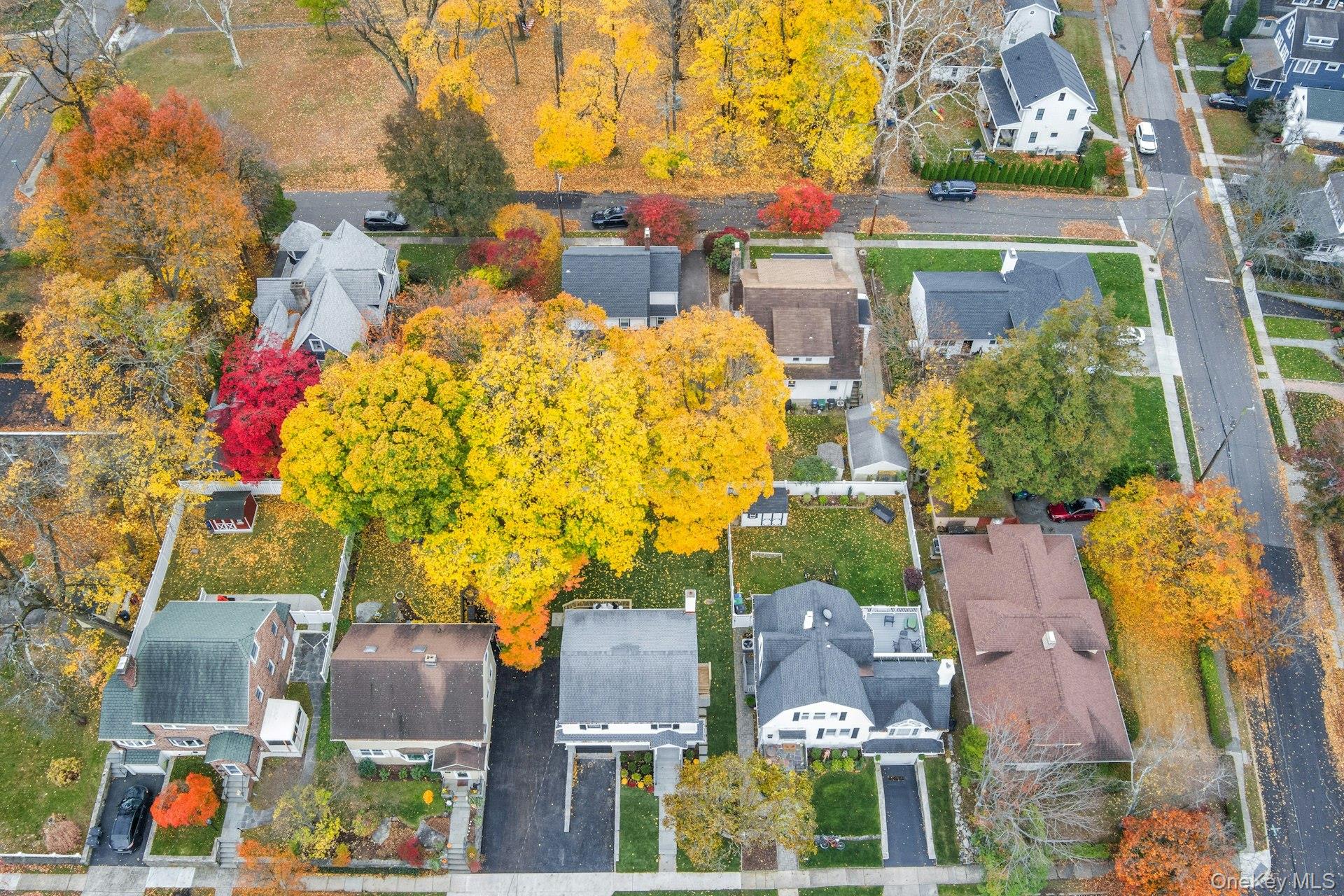 10 Poplar Avenue, Pelham, NY 10803