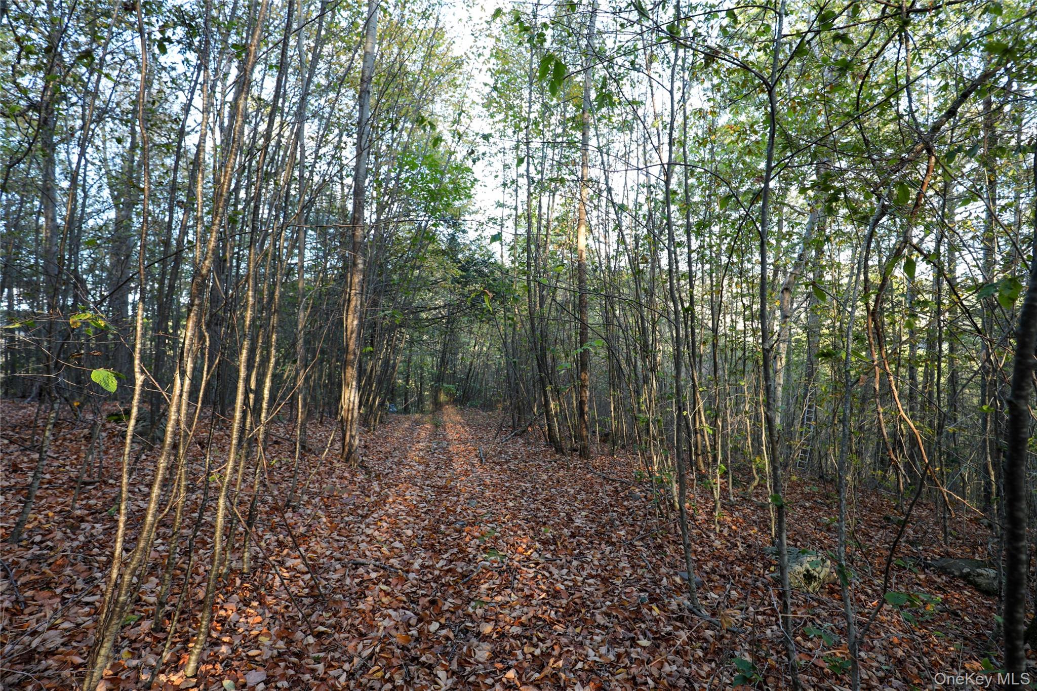 TBD NY-28 Route, Phoenicia, NY