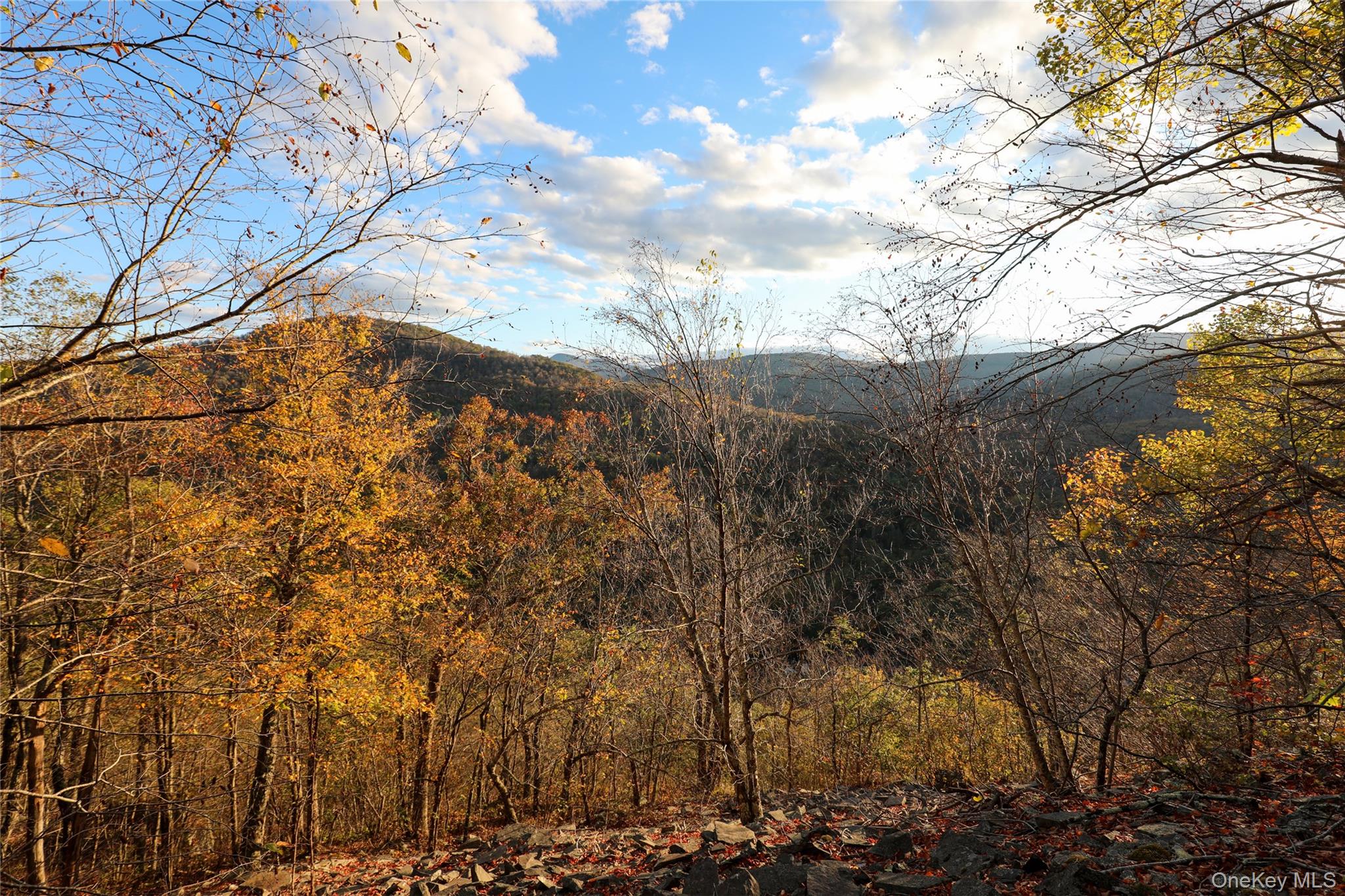 TBD NY-28 Route, Phoenicia, NY