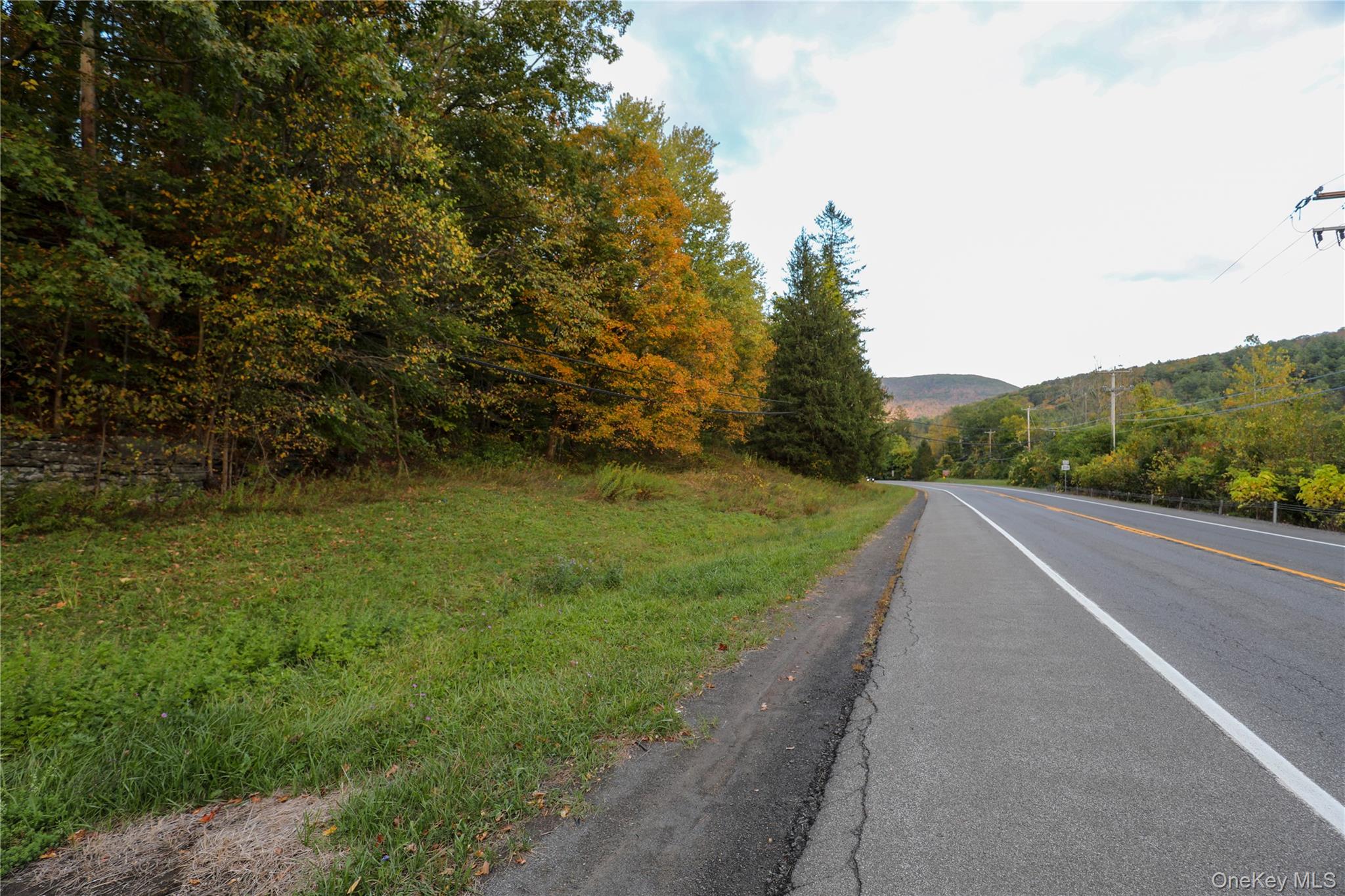 TBD NY-28 Route, Phoenicia, NY