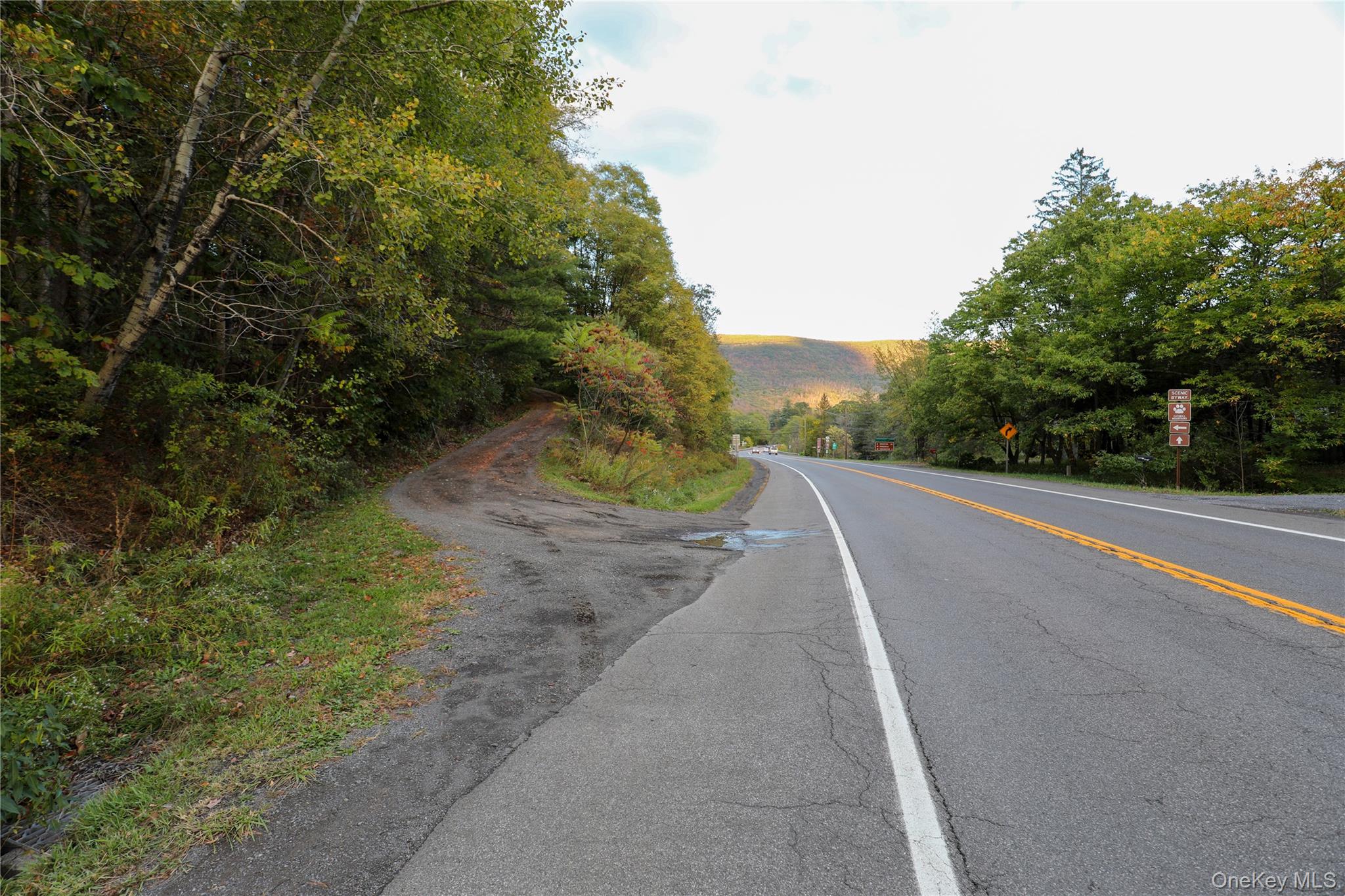 TBD NY-28 Route, Phoenicia, NY