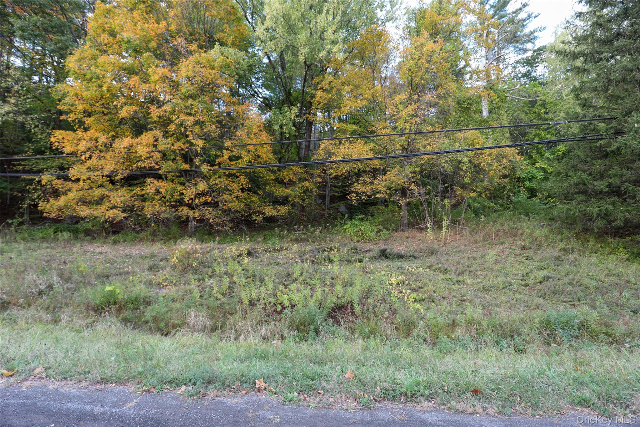 TBD NY-28 Route, Phoenicia, NY