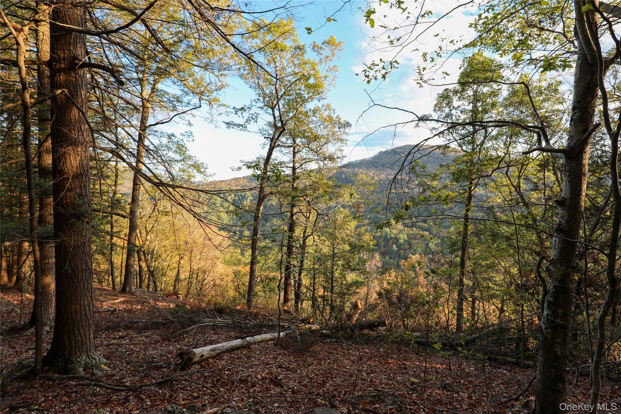 TBD NY-28 Route, Phoenicia, NY