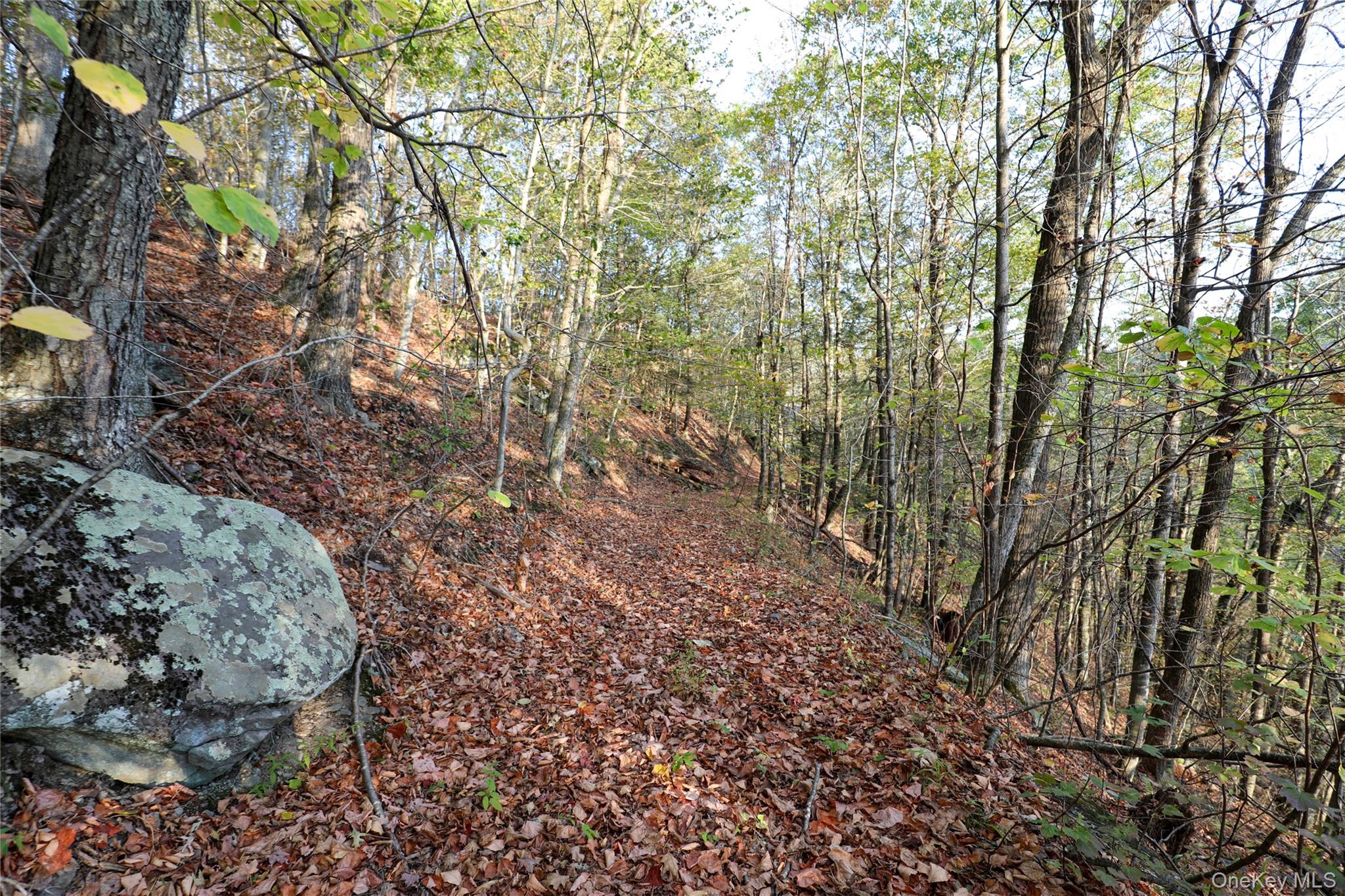 TBD NY-28 Route, Phoenicia, NY