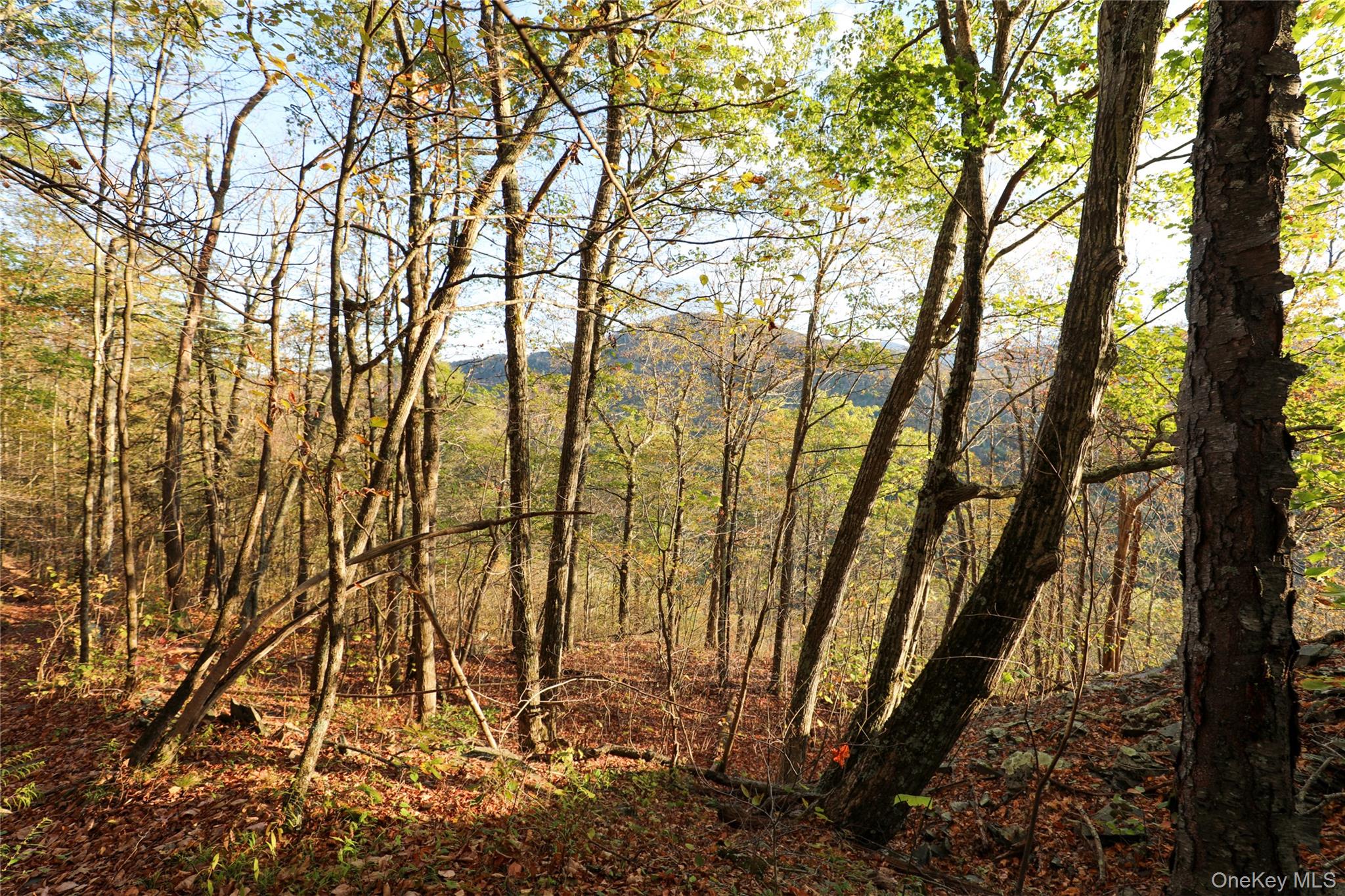 TBD NY-28 Route, Phoenicia, NY