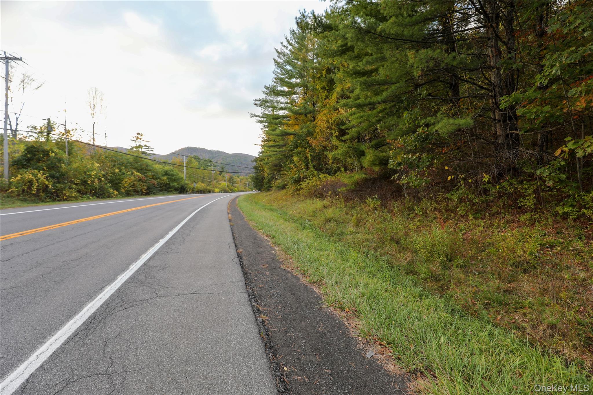 TBD NY-28 Route, Phoenicia, NY