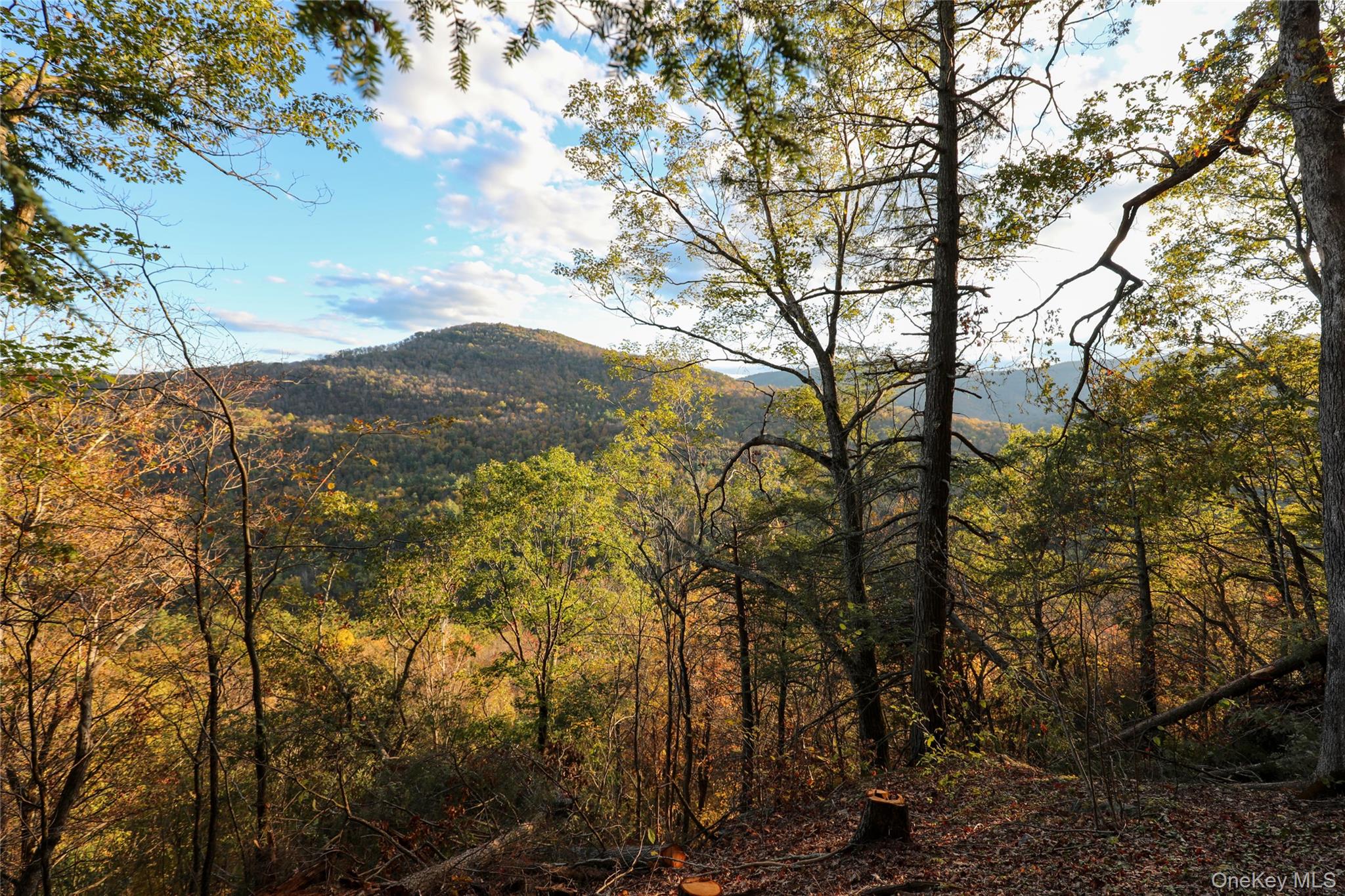 TBD NY-28 Route, Phoenicia, NY