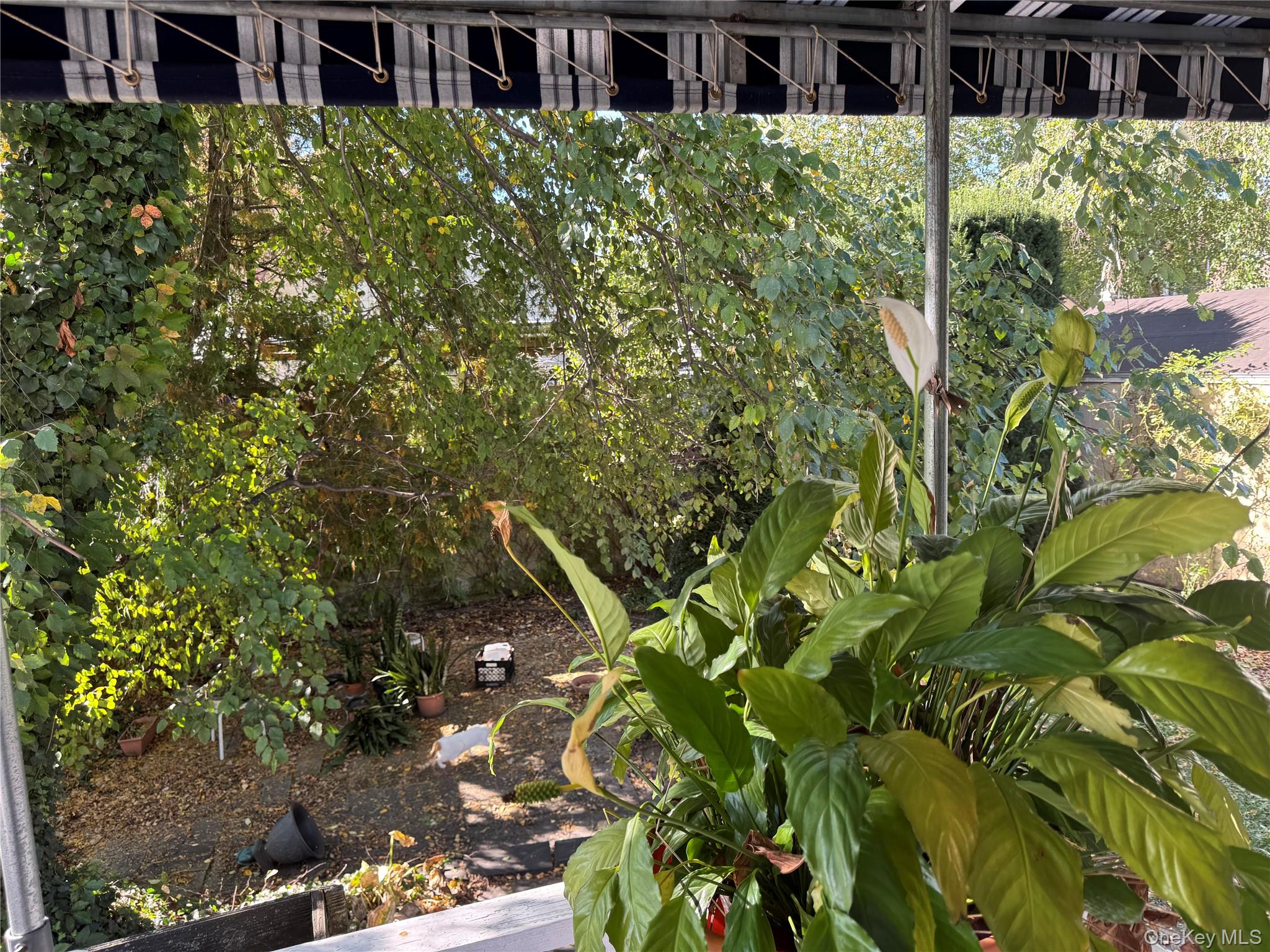 511 Bolton Avenue, Bronx, NY 10473