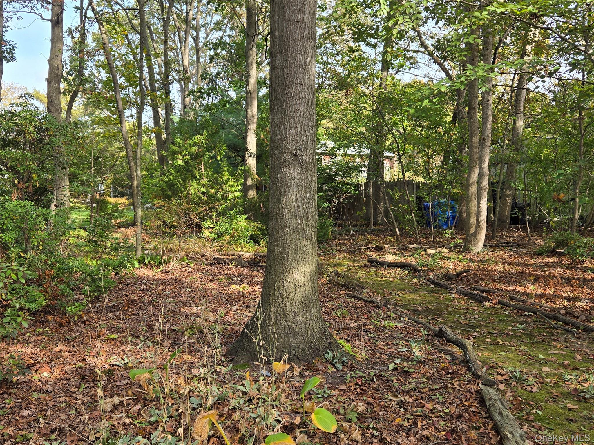 394 Cedarhurst Street, Islip Terrace, NY 11752