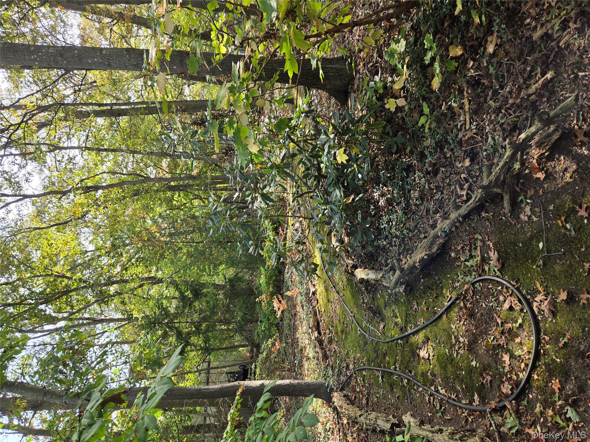 394 Cedarhurst Street, Islip Terrace, NY 11752