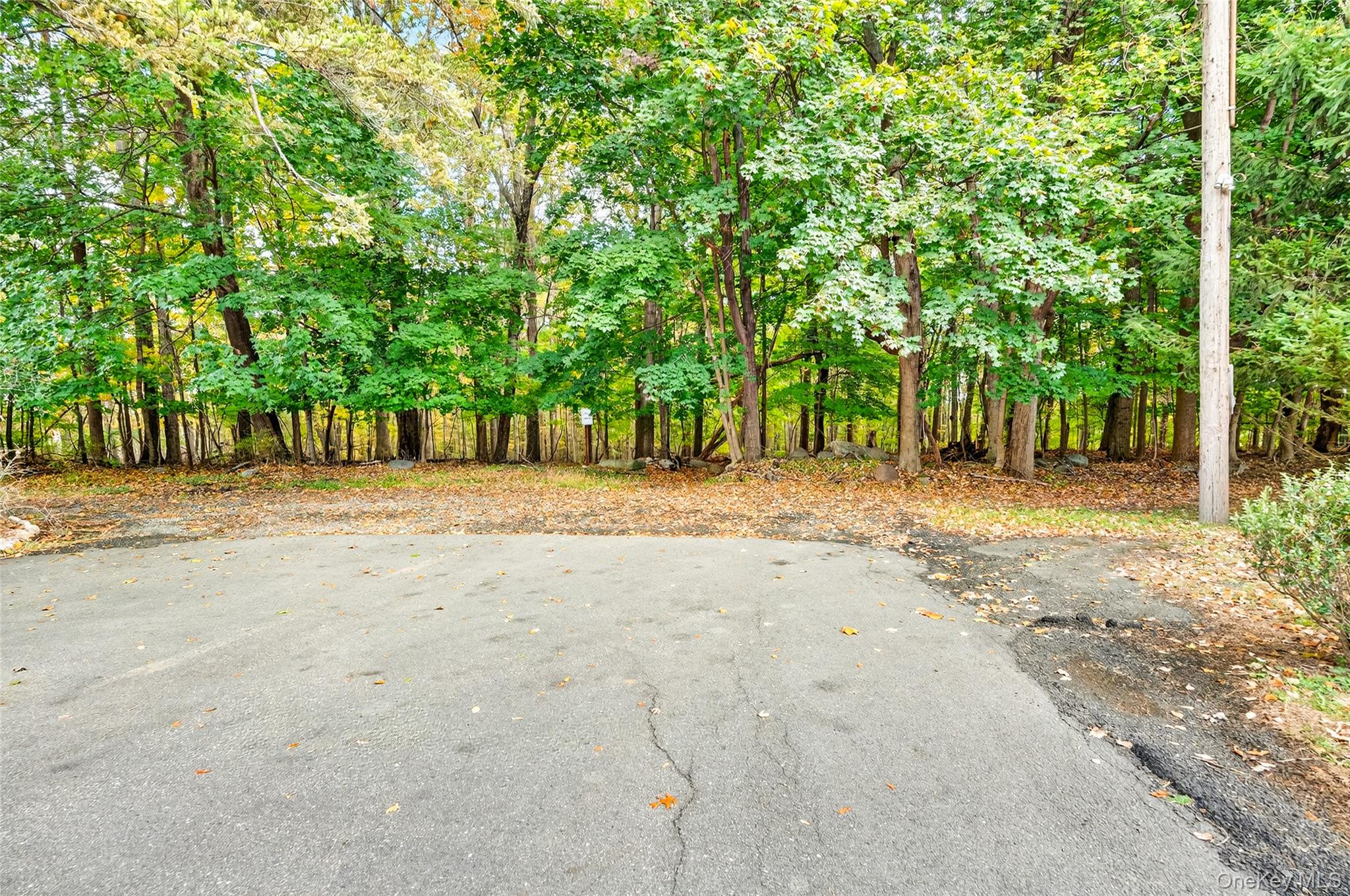 18 Oakwood Road, Bardonia, NY 10954