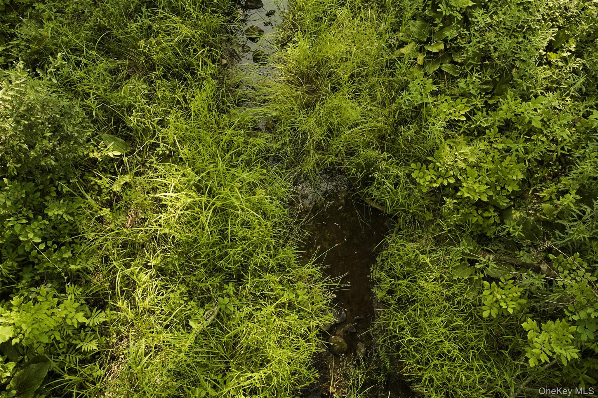 78,79 Fox Lane, Tivoli, NY 12583