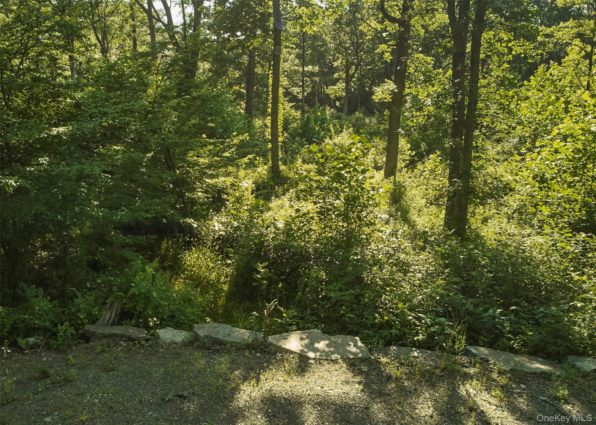 78,79 Fox Lane, Tivoli, NY 12583