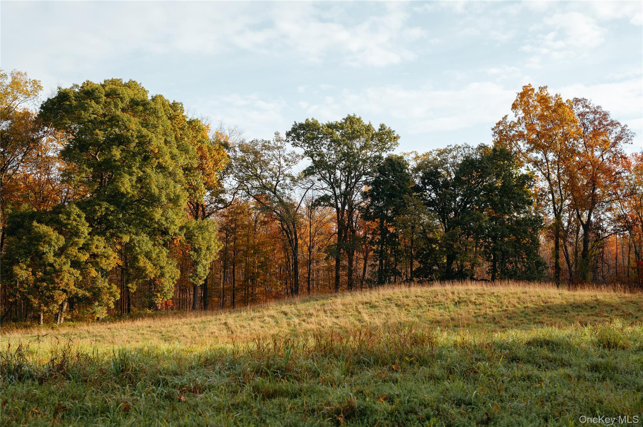 78,79 Fox Lane, Tivoli, NY 12583