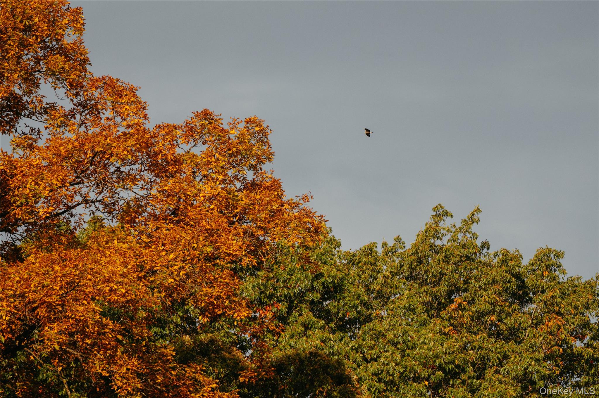 78,79 Fox Lane, Tivoli, NY 12583