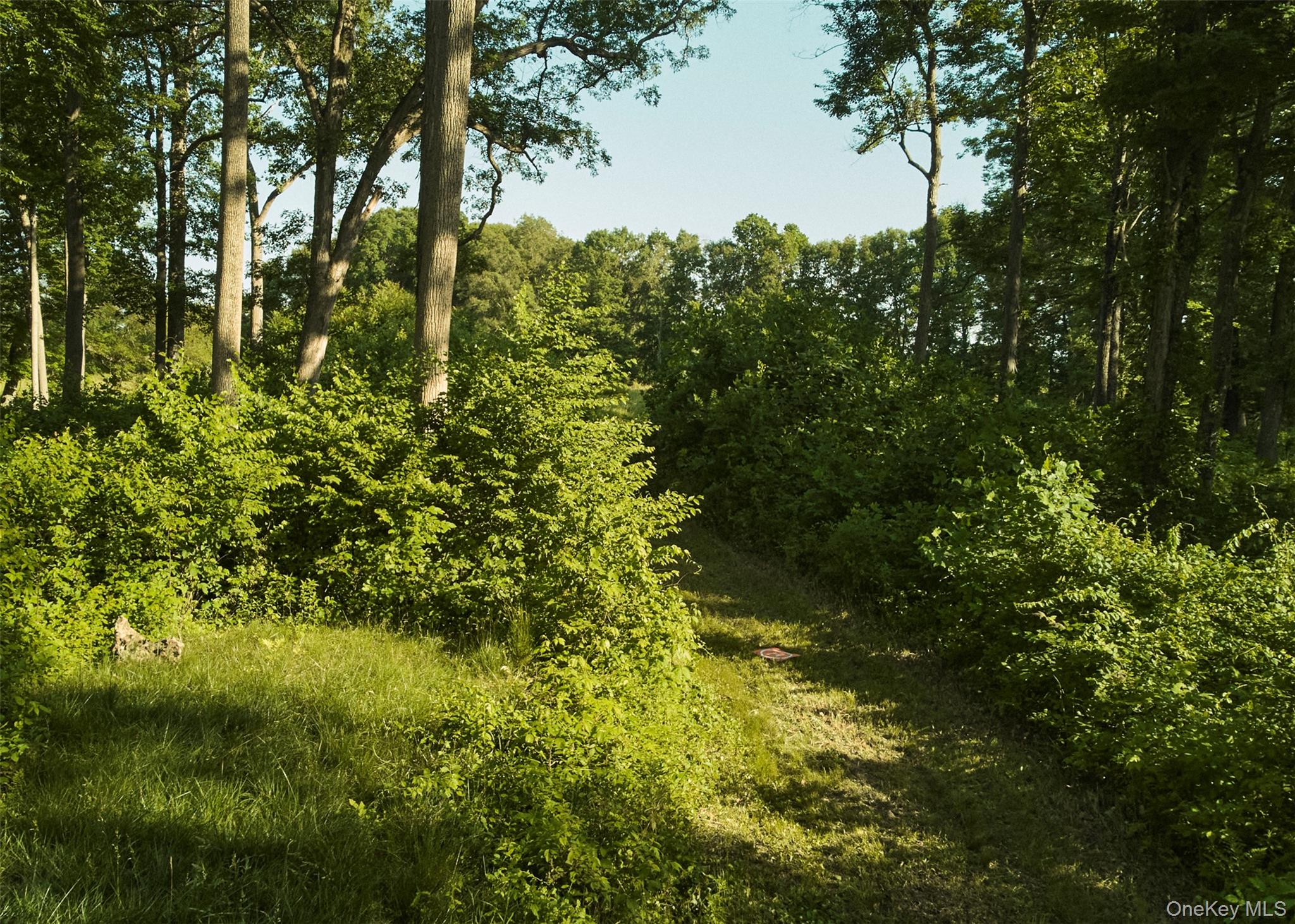 78,79 Fox Lane, Tivoli, NY 12583