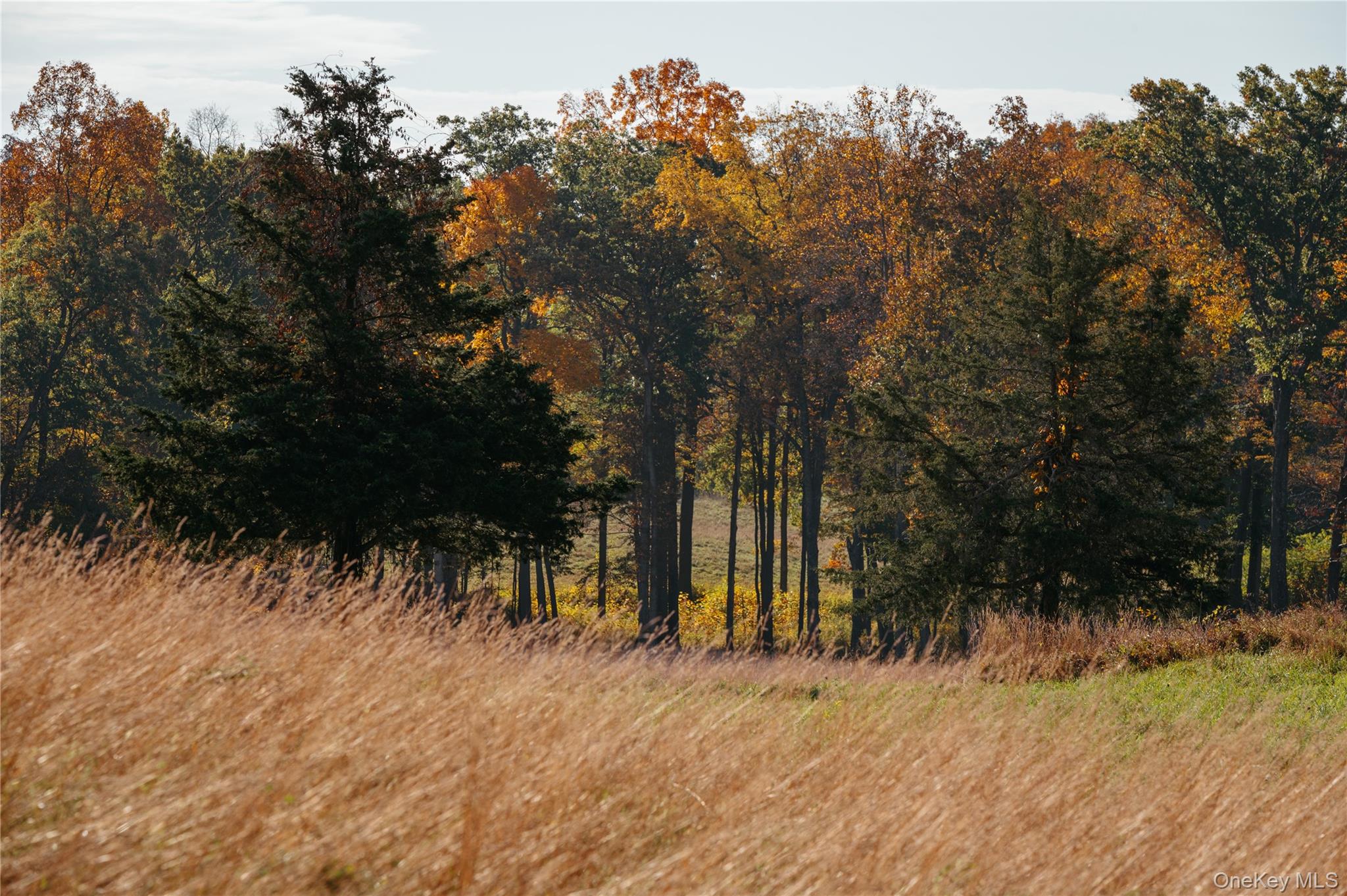 78,79 Fox Lane, Tivoli, NY 12583