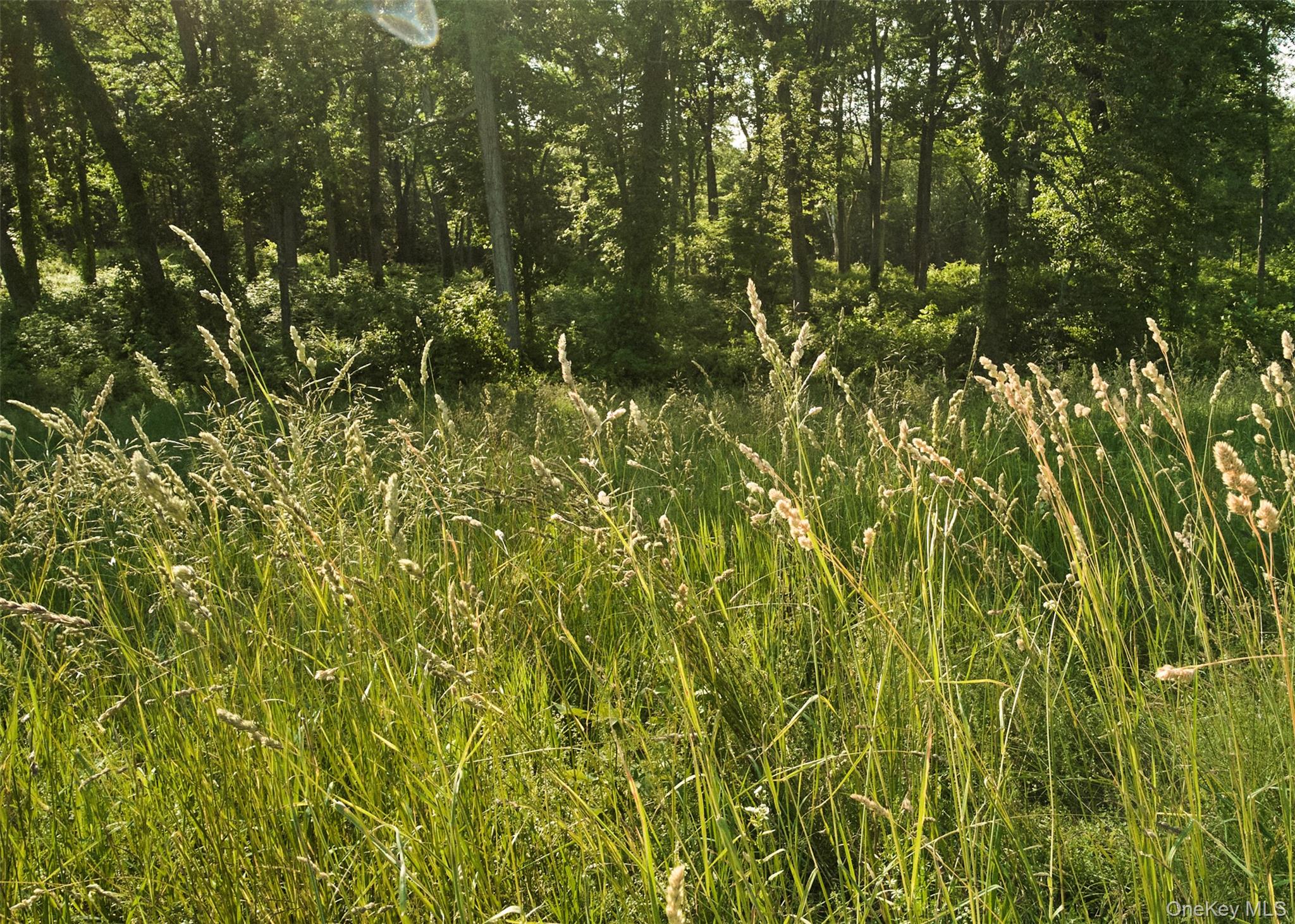 78,79 Fox Lane, Tivoli, NY 12583