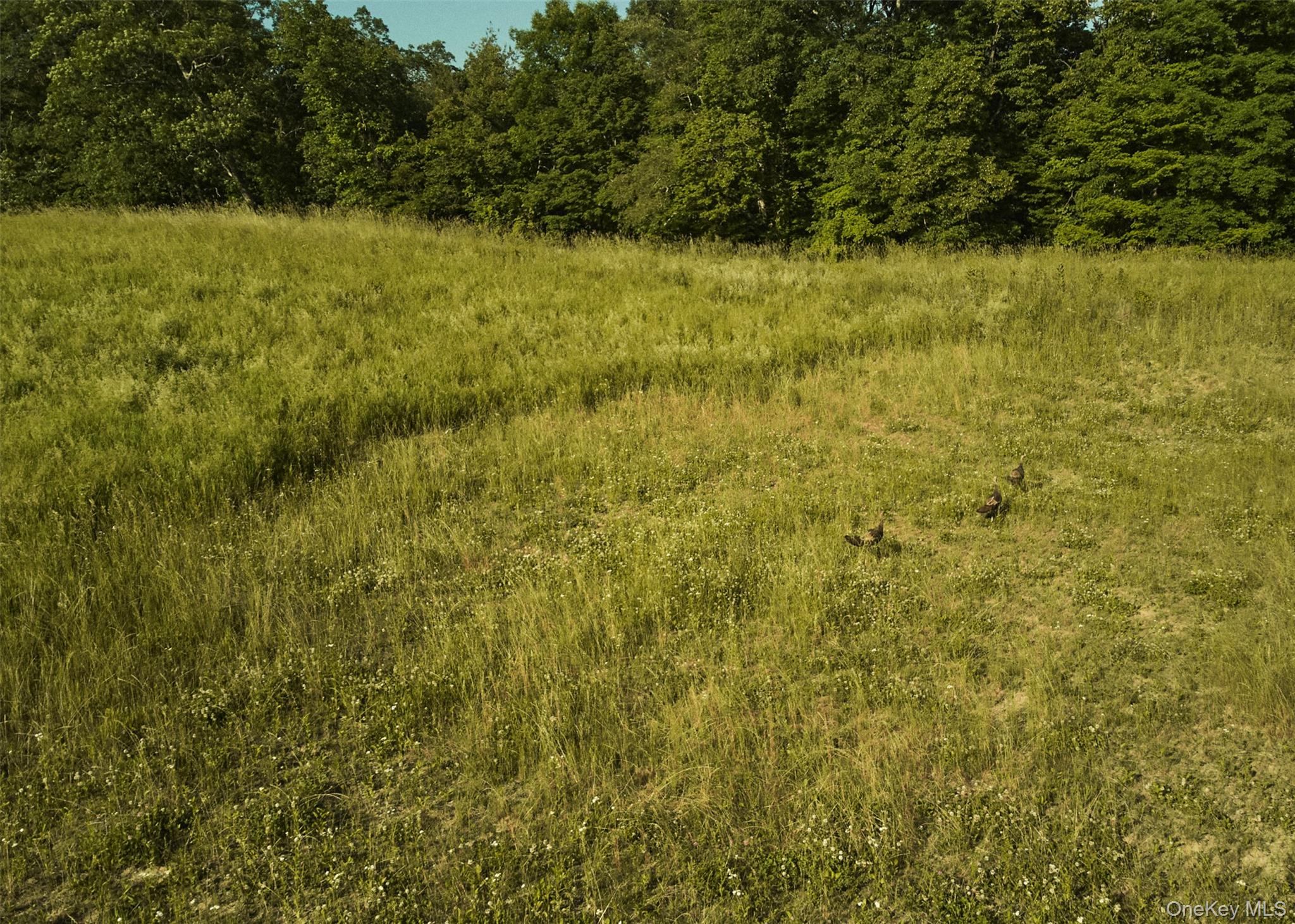 78,79 Fox Lane, Tivoli, NY 12583