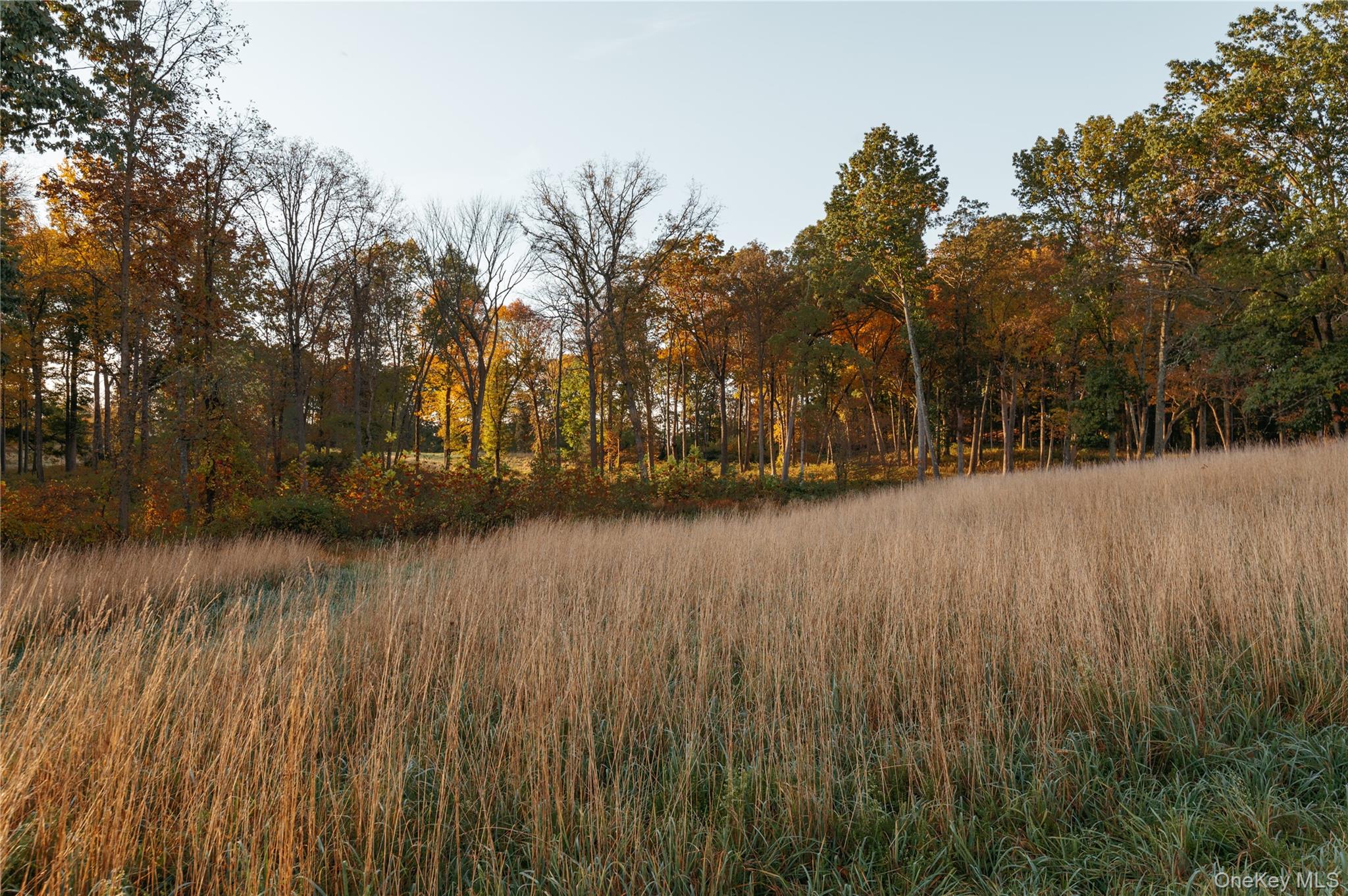 78,79 Fox Lane, Tivoli, NY 12583