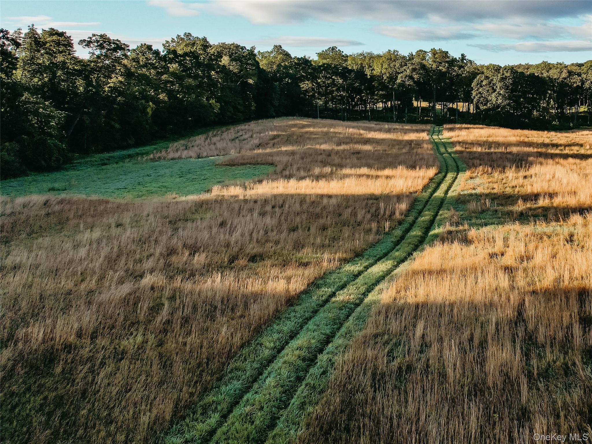 78,79 Fox Lane, Tivoli, NY 12583