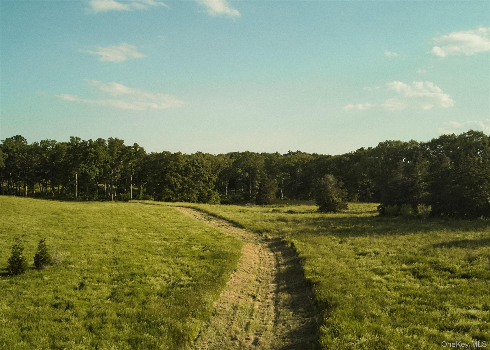 78,79 Fox Lane, Tivoli, NY 12583